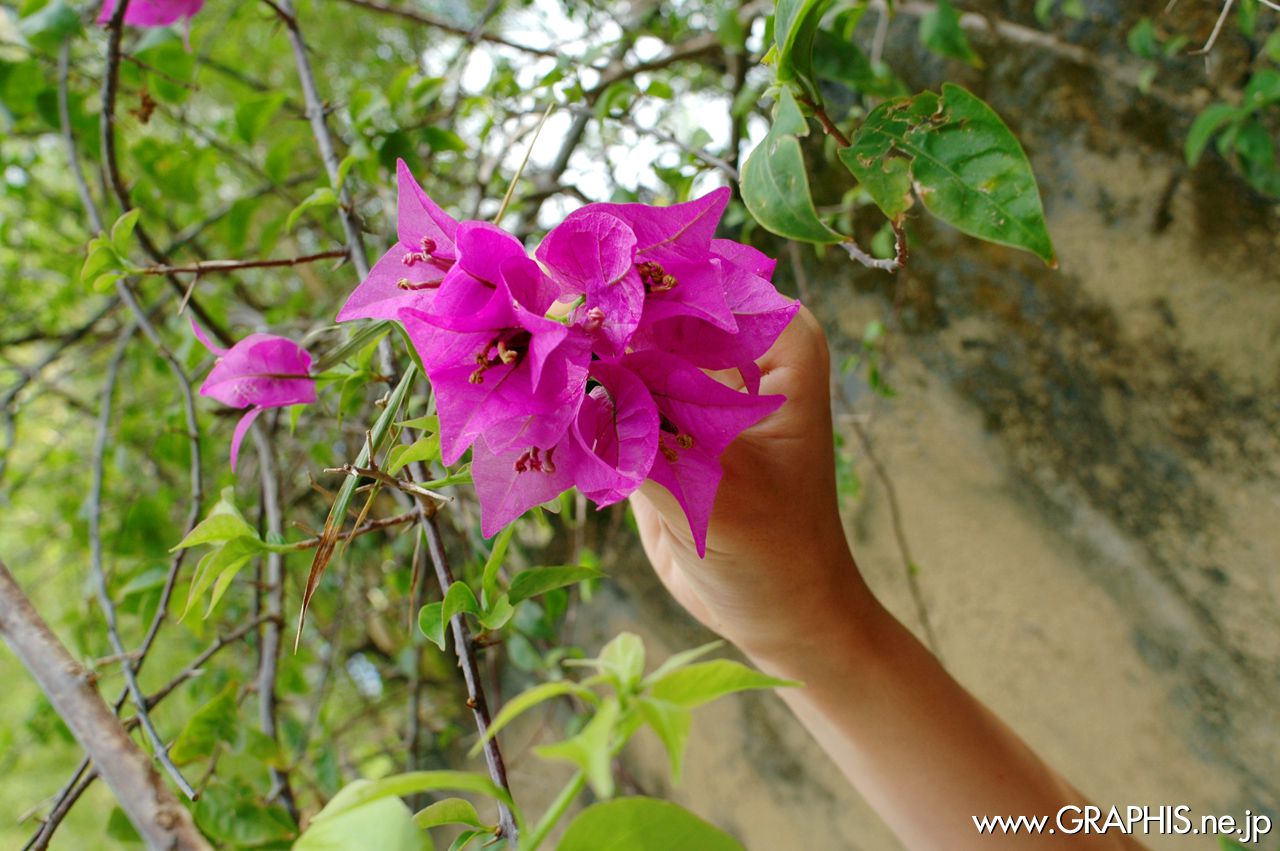 小川あさ美《Blue Moon》  Special Contents-图46