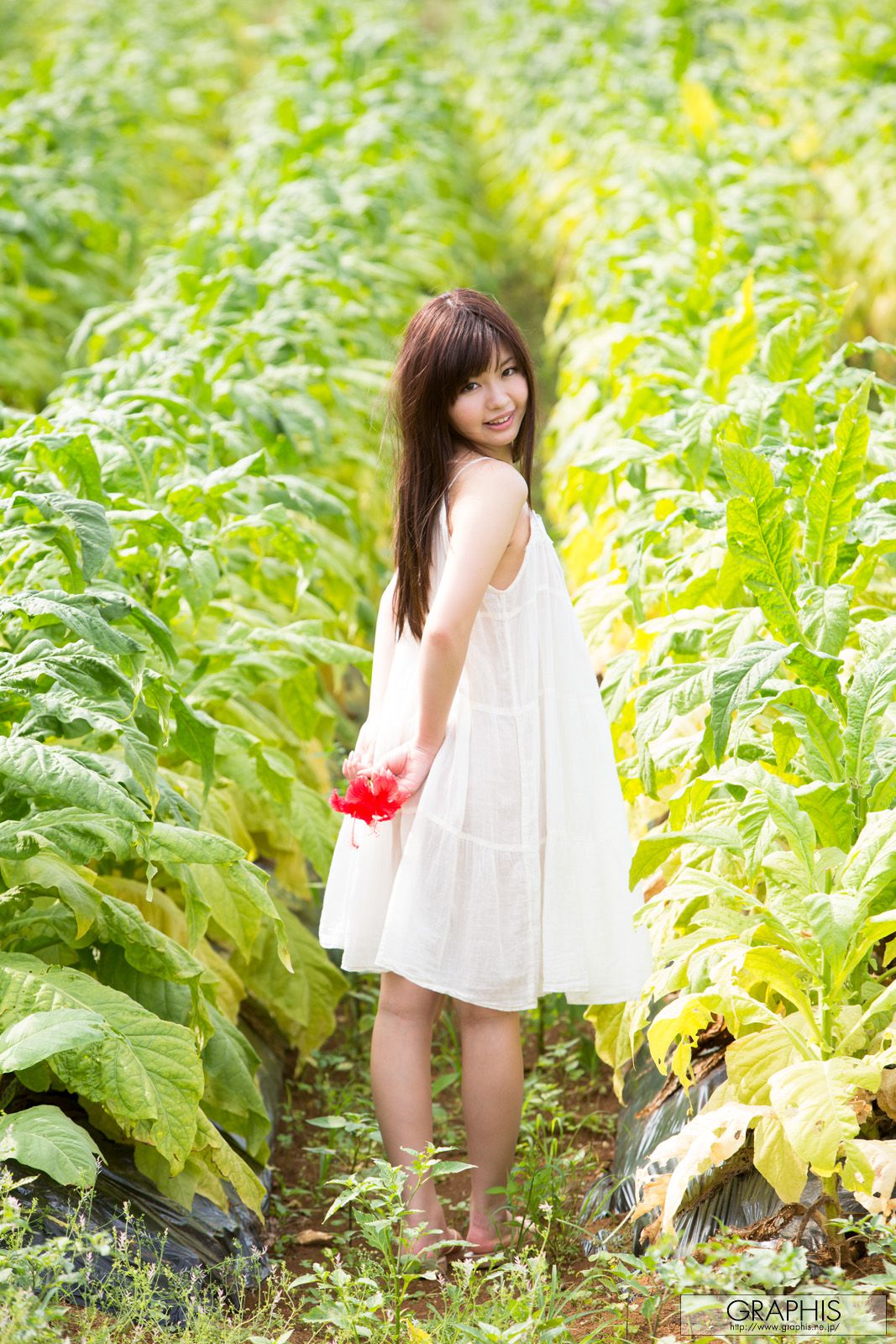 葉山めい/叶山芽衣  First Gravure 初脱ぎ娘-图2