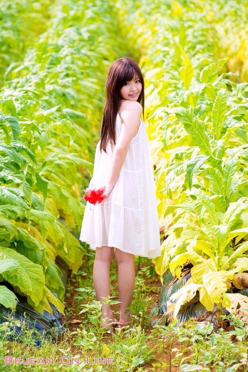 Special スペシャルグラビア 葉山めい/叶山芽衣-图9