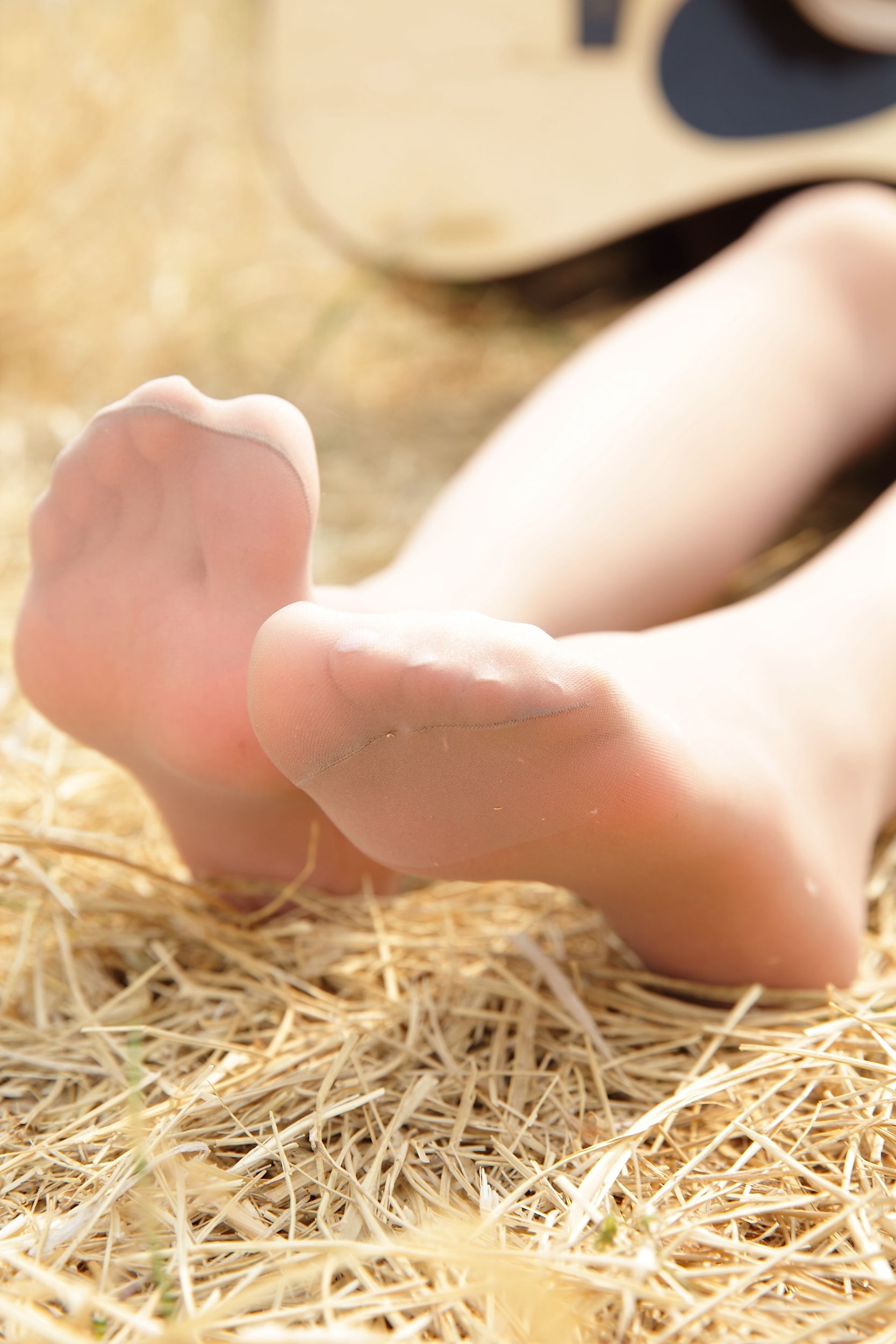 《树下，你会为我的天衣无缝所迷倒吗？》-图1