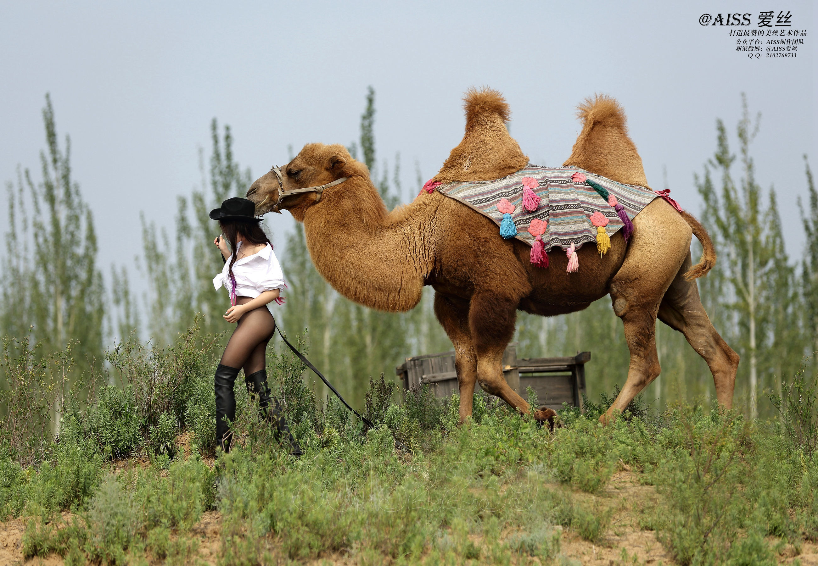 冰冰《丝绸之路》-图44