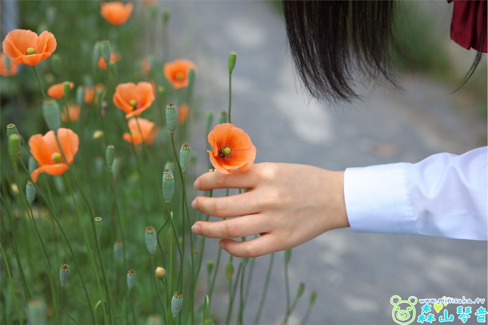 DreamGallery 森山琴音 Kotone Moriyama-图1