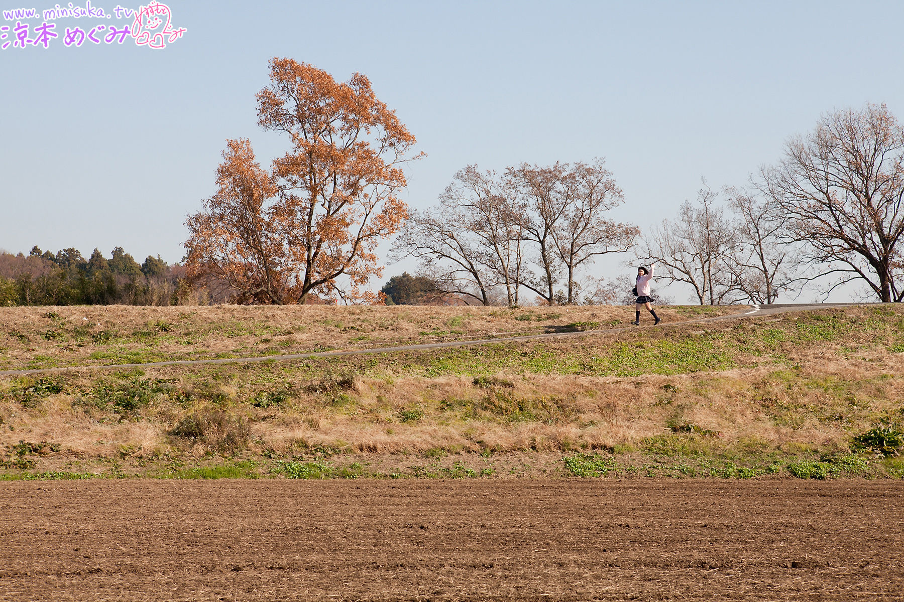 凉本めぐみ/凉本惠 Megumi Suzumoto  Dream Gallery-图109