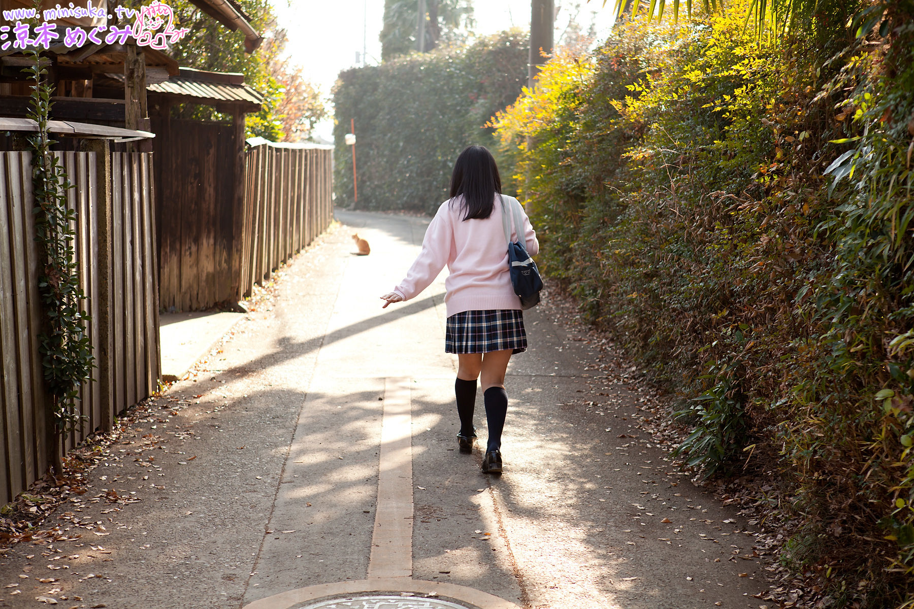 凉本めぐみ/凉本惠 Megumi Suzumoto  Dream Gallery-图90