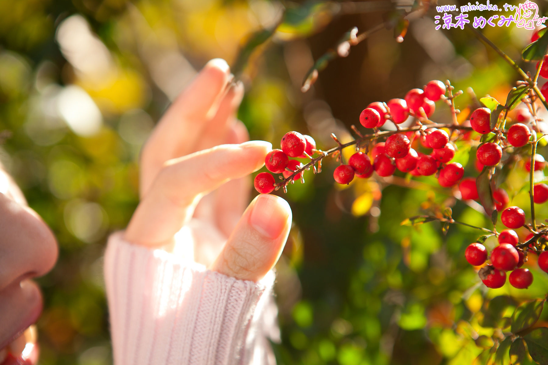 凉本めぐみ/凉本惠 Megumi Suzumoto  Dream Gallery-图98