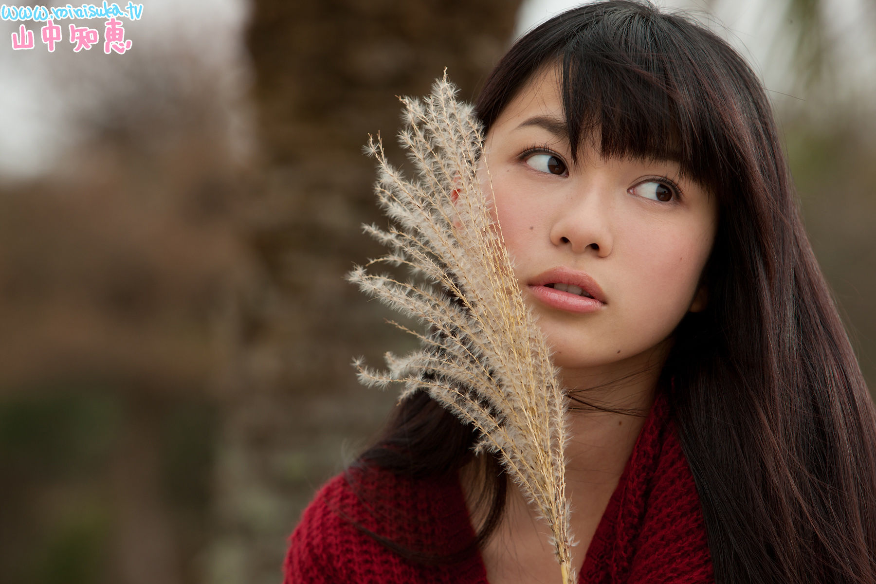 山中知恵 Tomoe Yamanaka 第三部-图77