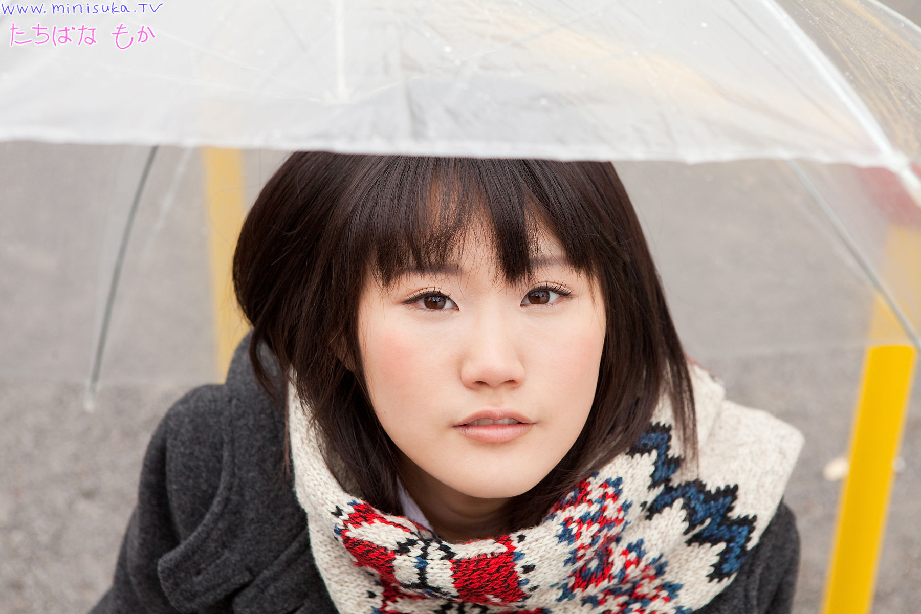 橘もか Moka Tachibana  Regular Gallery-图97