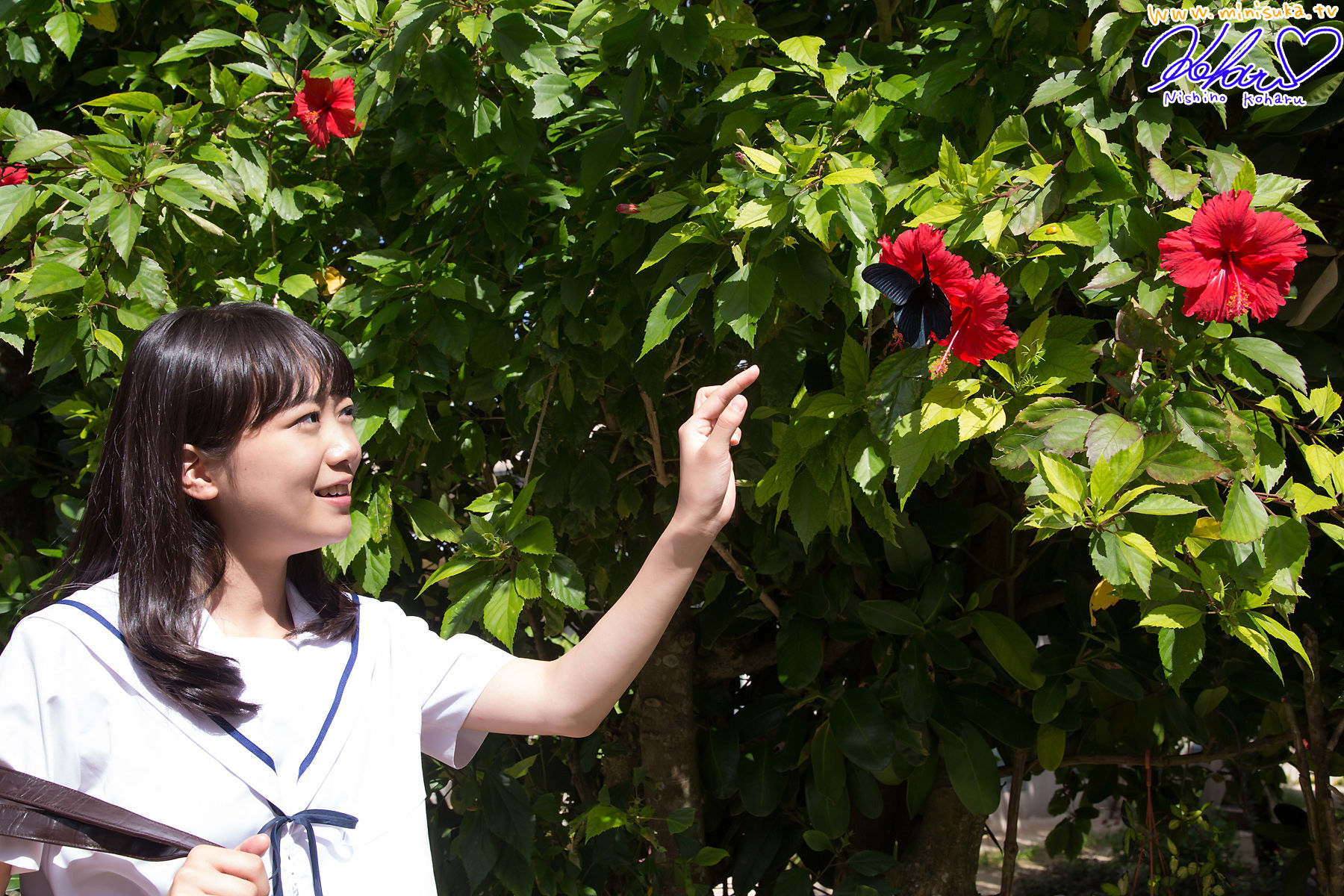 西野小春 Koharu Nishino 第十四部 Limited Gallery-图9