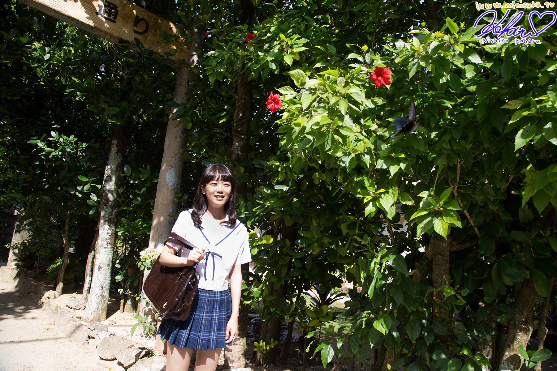 西野小春 Koharu Nishino 第十四部 Limited Gallery-图4