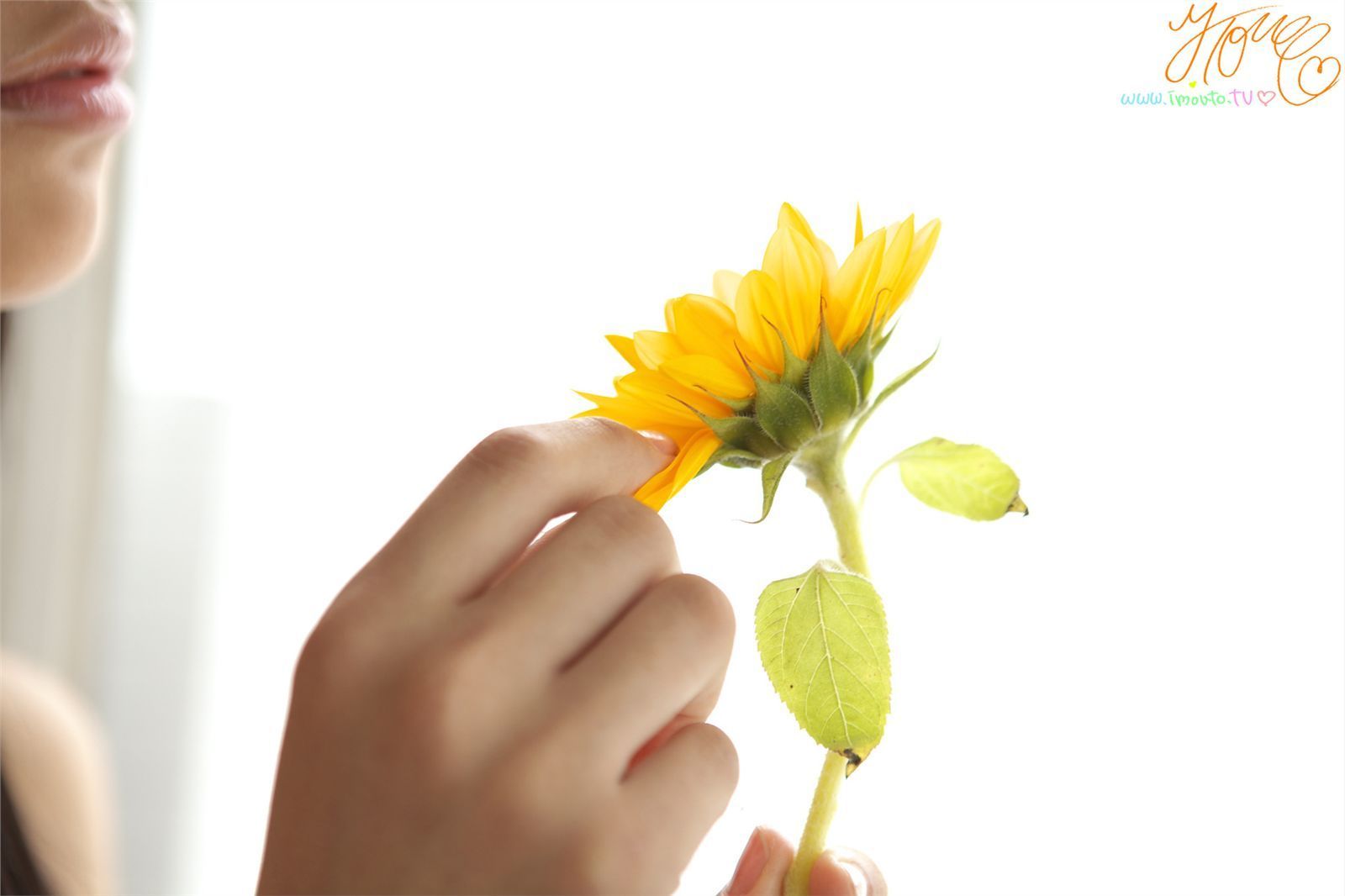 山中知恵 Tomoe Yamanaka 第十八部  Limited Gallery-图55