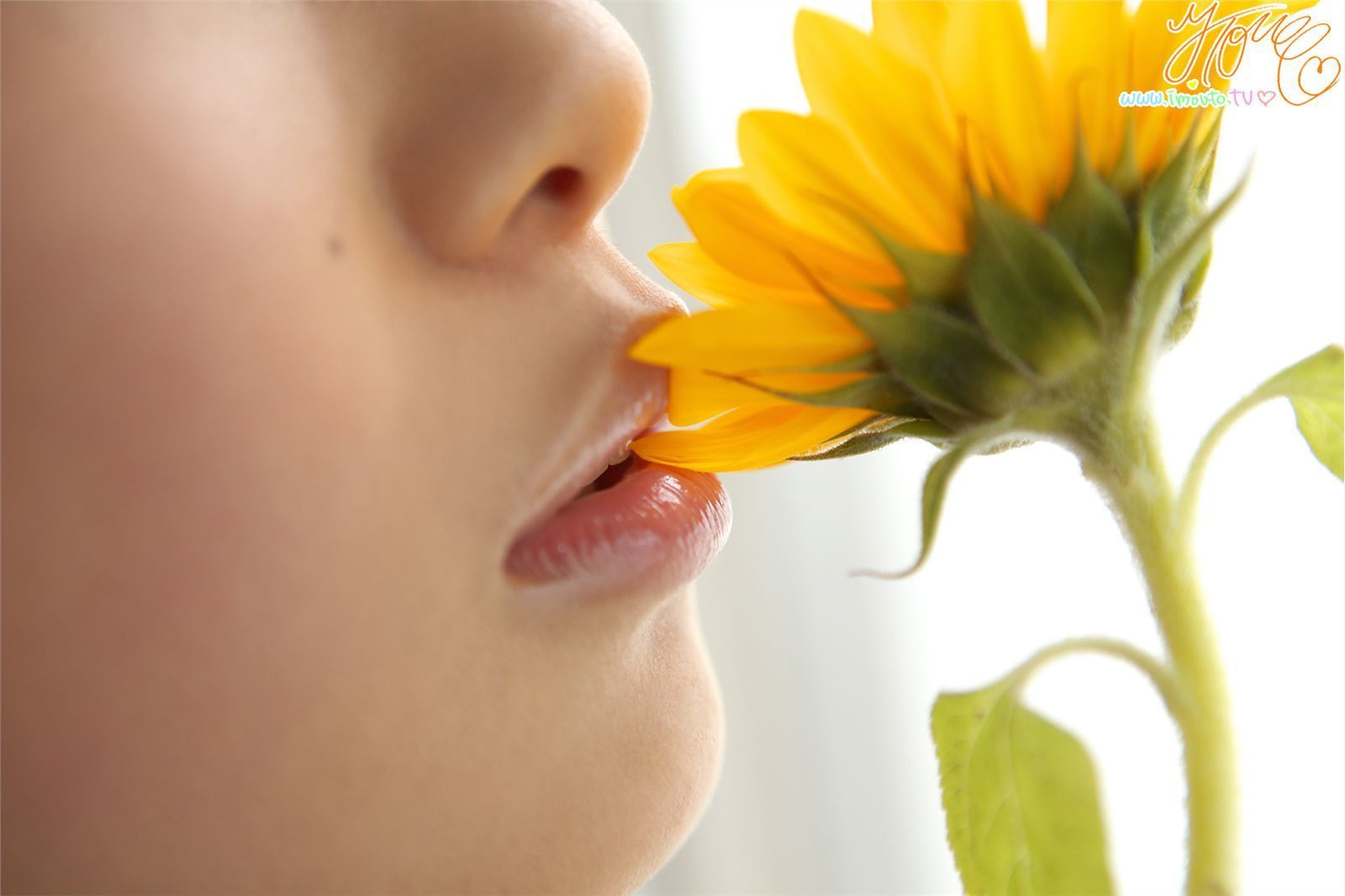 山中知恵 Tomoe Yamanaka 第十八部  Limited Gallery-图57