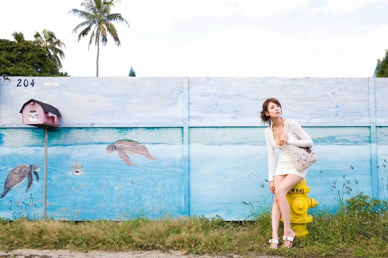 莉亚?迪桑《Hello in Hawaii》-图18