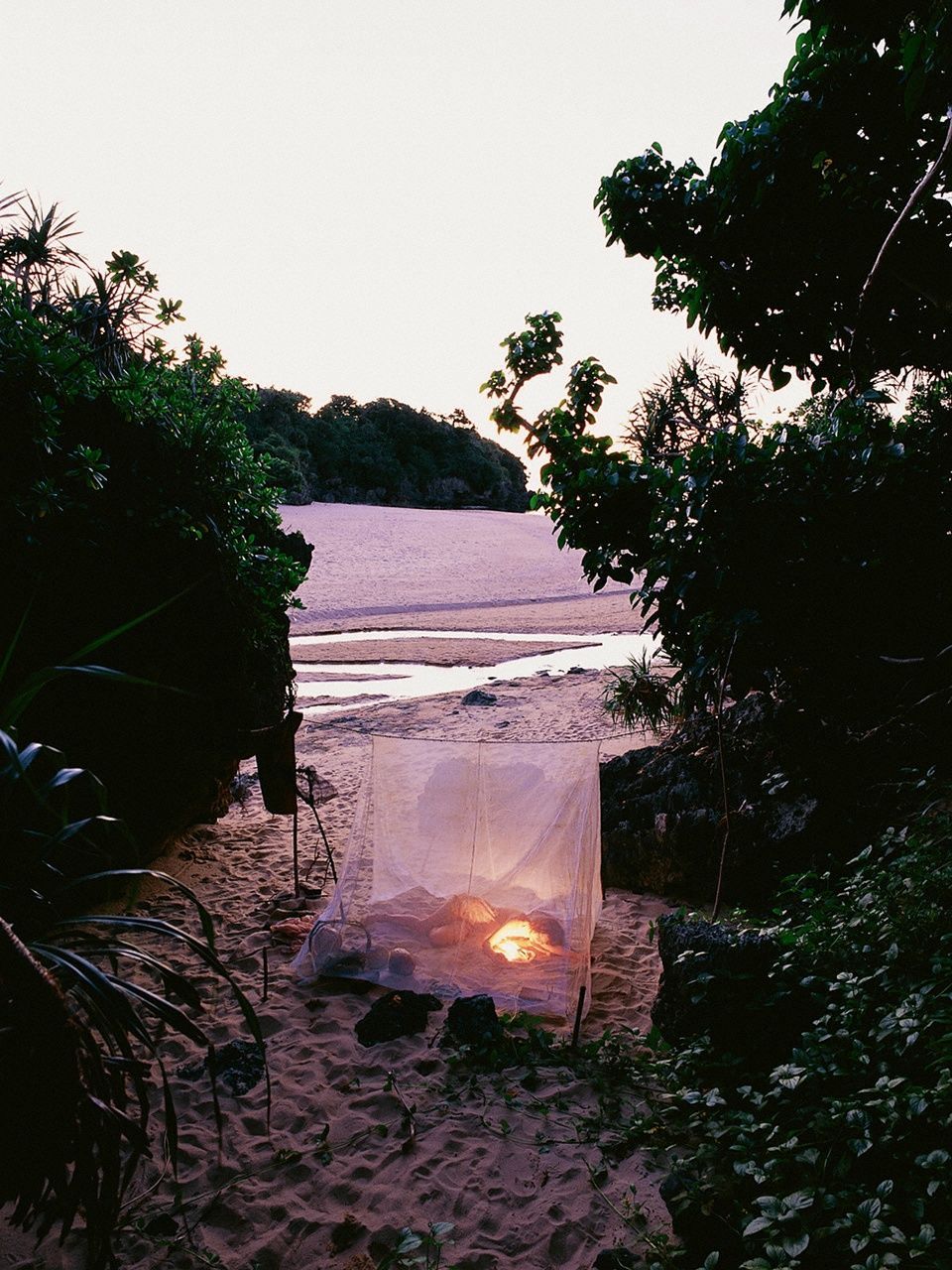 長崎莉奈《LIGHT IN THE NATURE》-图81