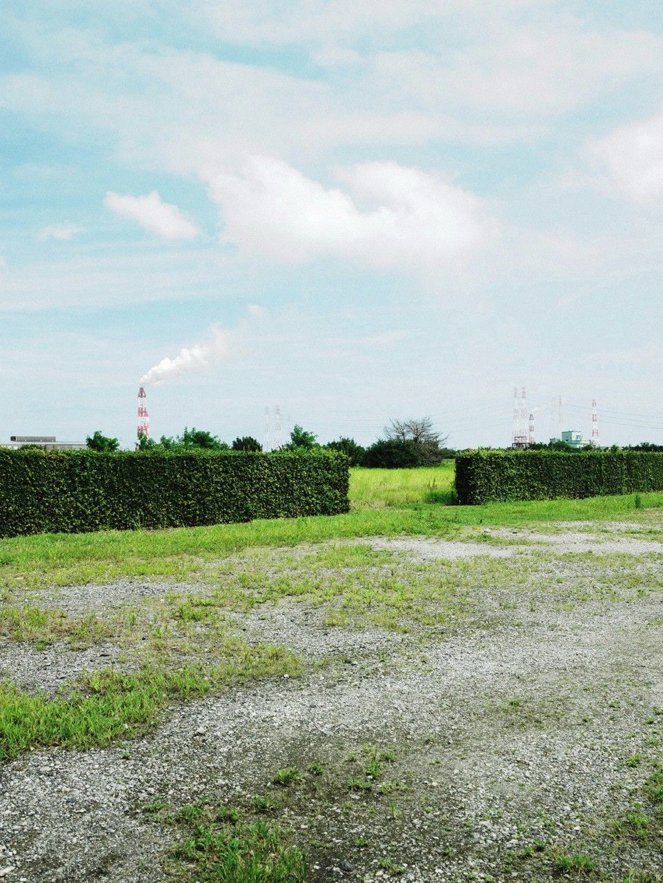 Momoko Tani 谷桃子  No.101-图18