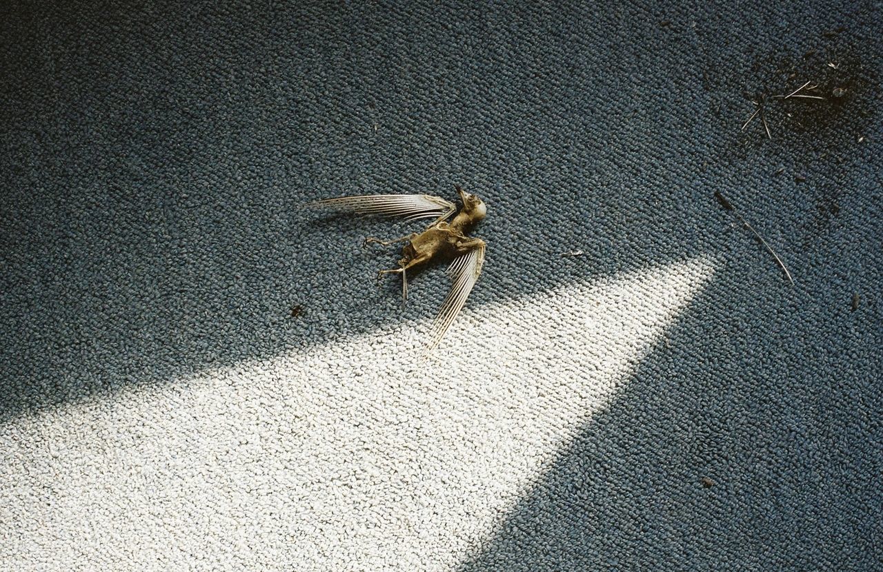 安達祐実 Adachi Yumi  No.161-图33