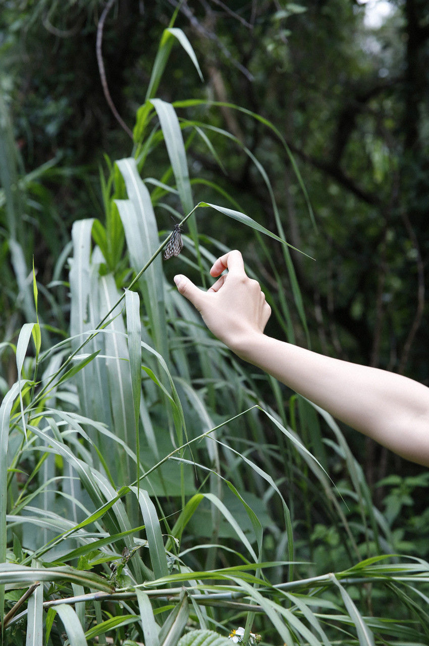 夏菜《The Gravure~最終章~》  No.166-图111