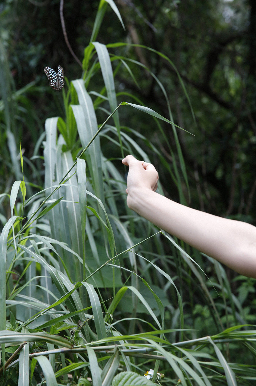 夏菜《The Gravure~最終章~》  No.166-图3