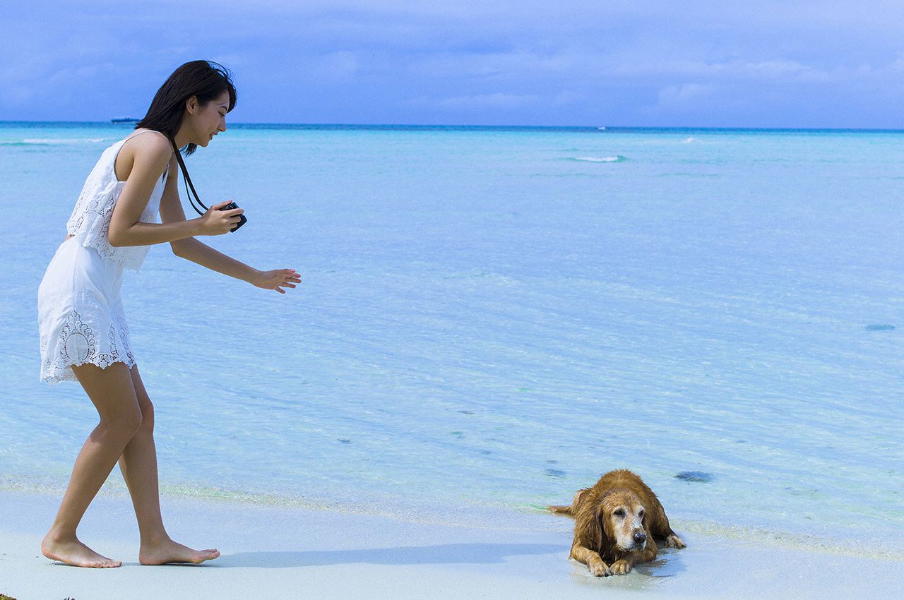 武田玲奈《玲奈のいいとこ撮り》  No.191-图43