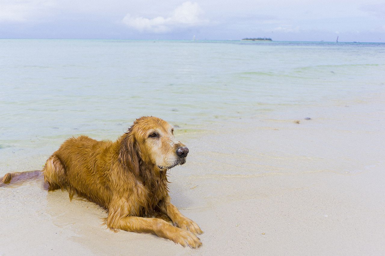 武田玲奈《玲奈のいいとこ撮り》  No.191-图90
