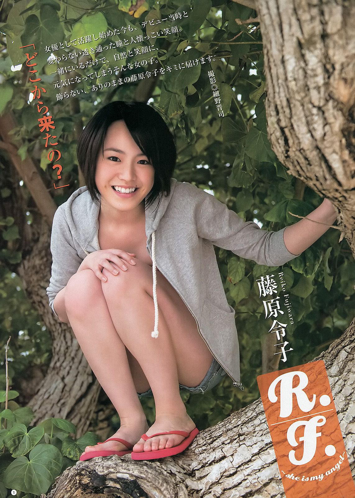 鬼头桃菜 倉持明日香 深谷理紗 藤原令子  2013年No.26 写真杂志-图15