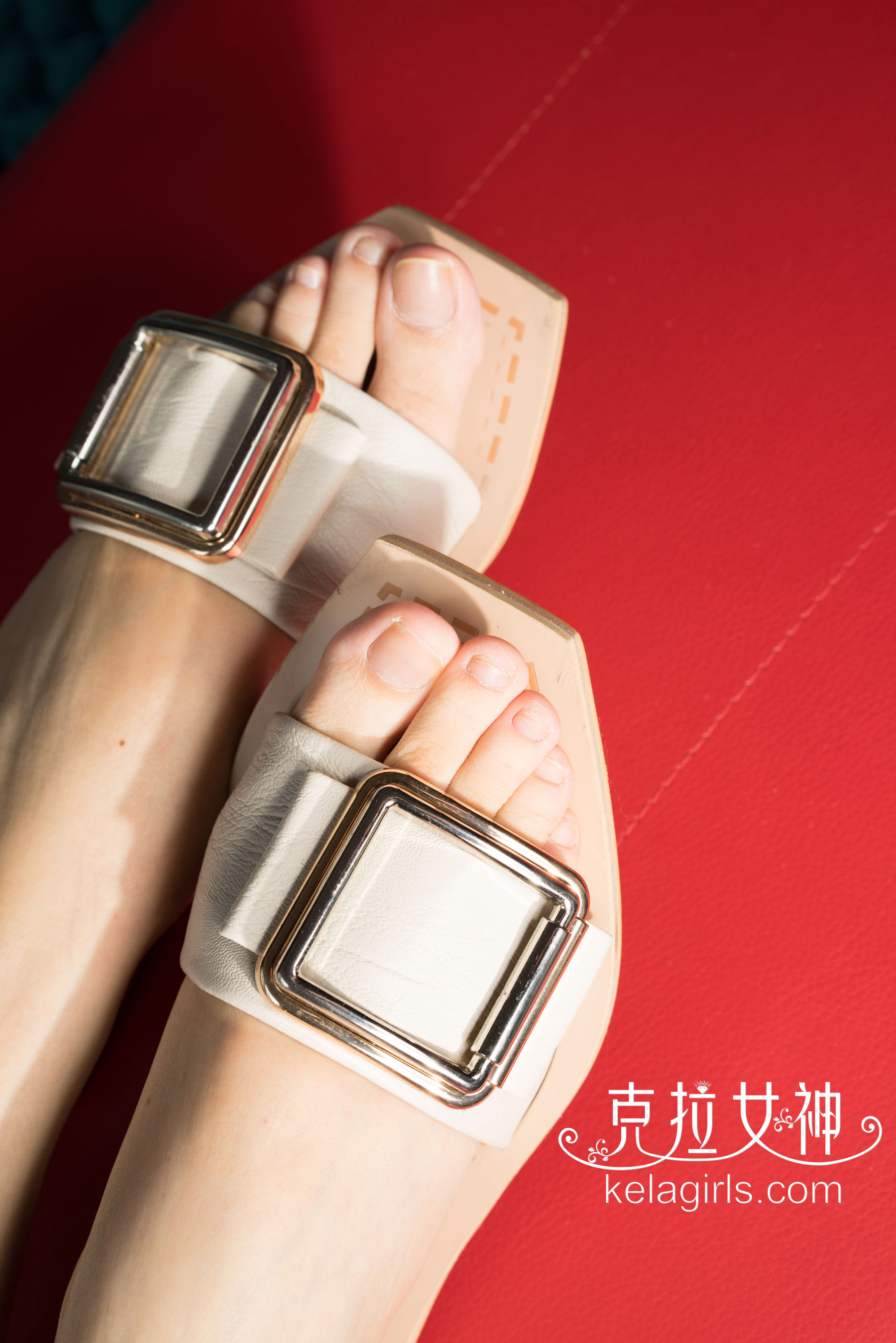 宋智珍《校花美足》-图7
