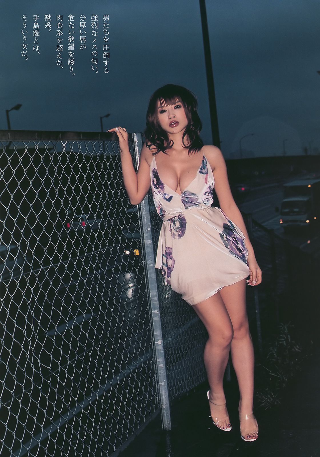 紗綾 水沢奈子 森田美位子 池脇千鶴 手島優 皆藤愛子  2010年No.11 写真杂志-图28