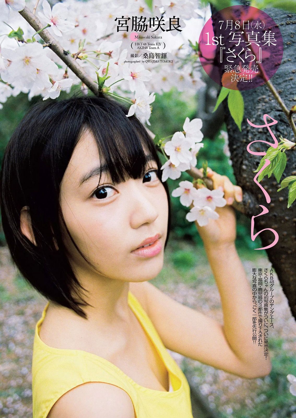 宮脇咲良 橋本マナミ 稲村亜美 天木じゅん 雄飛ときね 涼本めぐみ 水谷あおい 島崎結衣 有沢杏  2015年No.25 写真杂志-图1