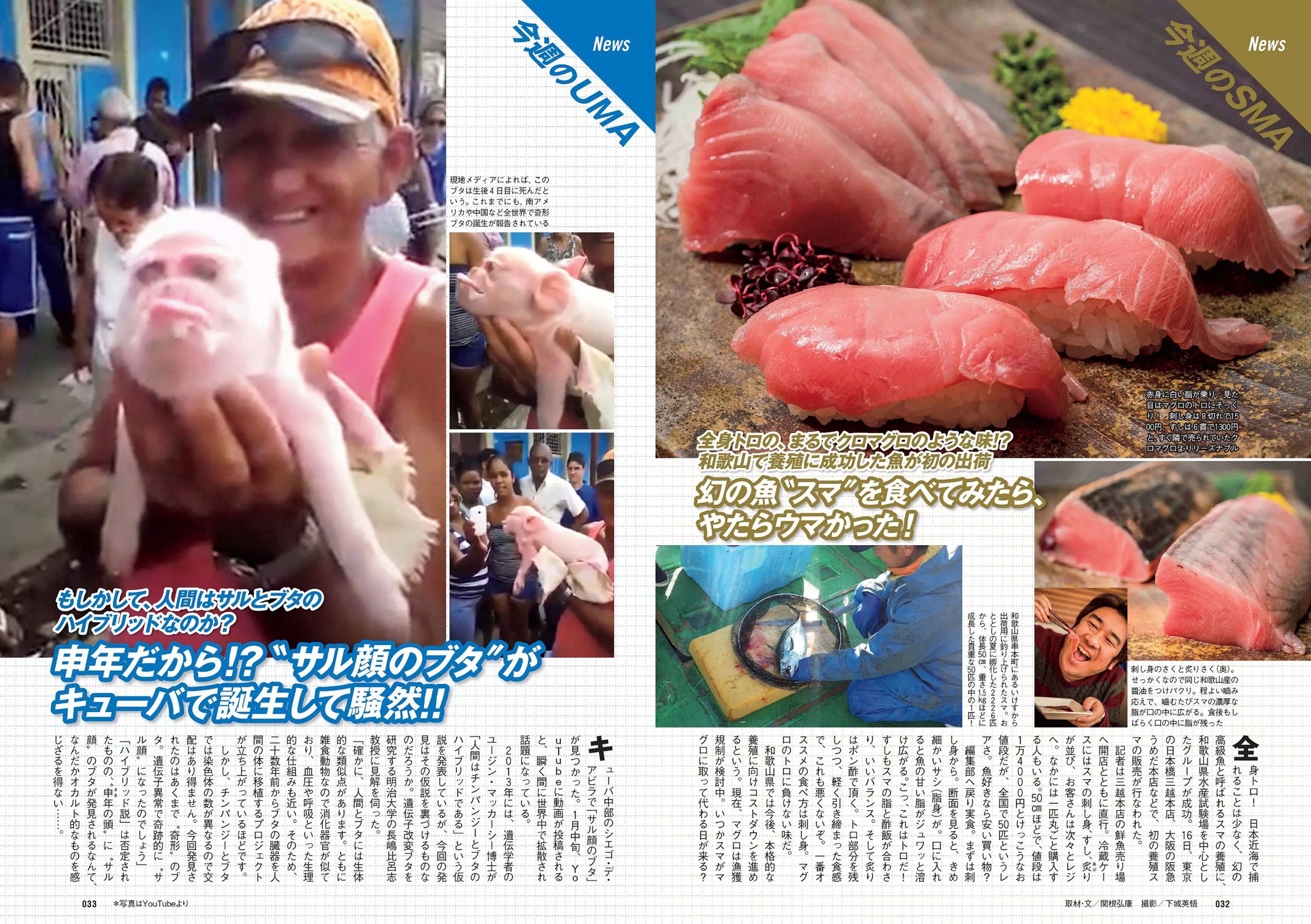 ダレノガレ明美 木村真野?紗野 生田絵梨花 白石あさえ  2016年No.06 写真杂志-图16