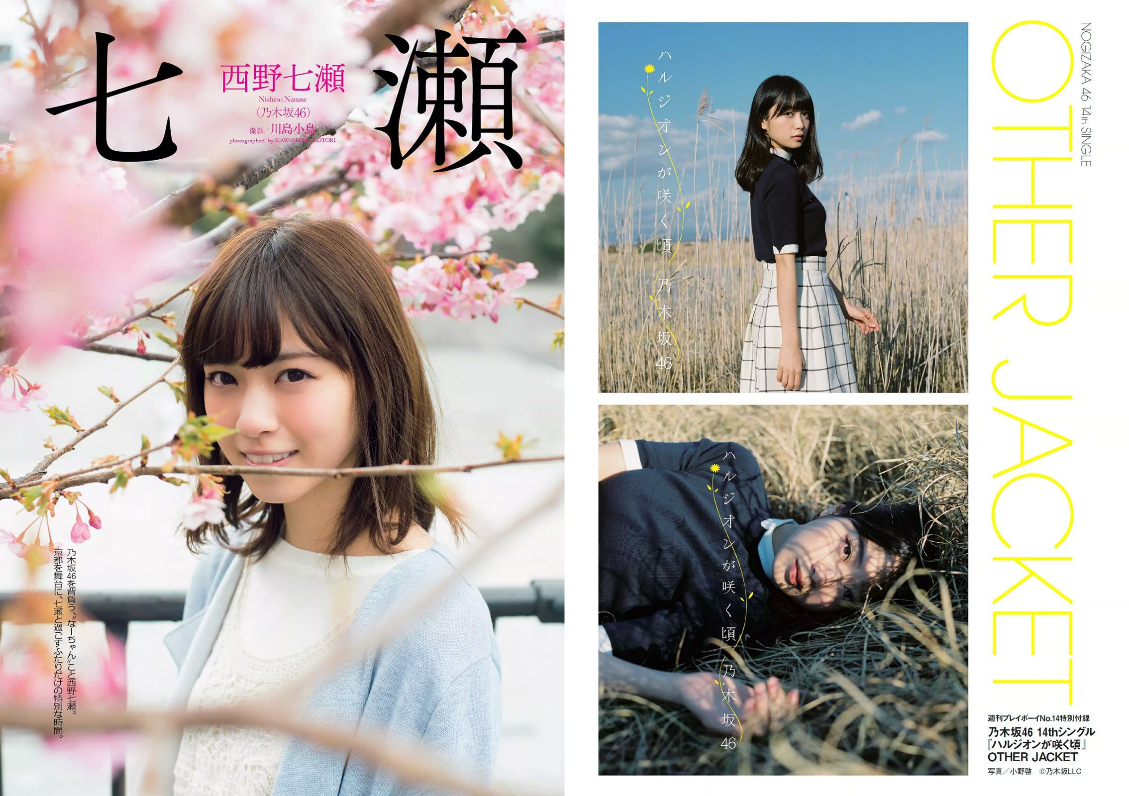 西野七瀬 RaMu 柳ゆり菜 橋本マナミ 生田佳那 天使もえ 青山ひかる  2016年No.14 写真杂志-图1