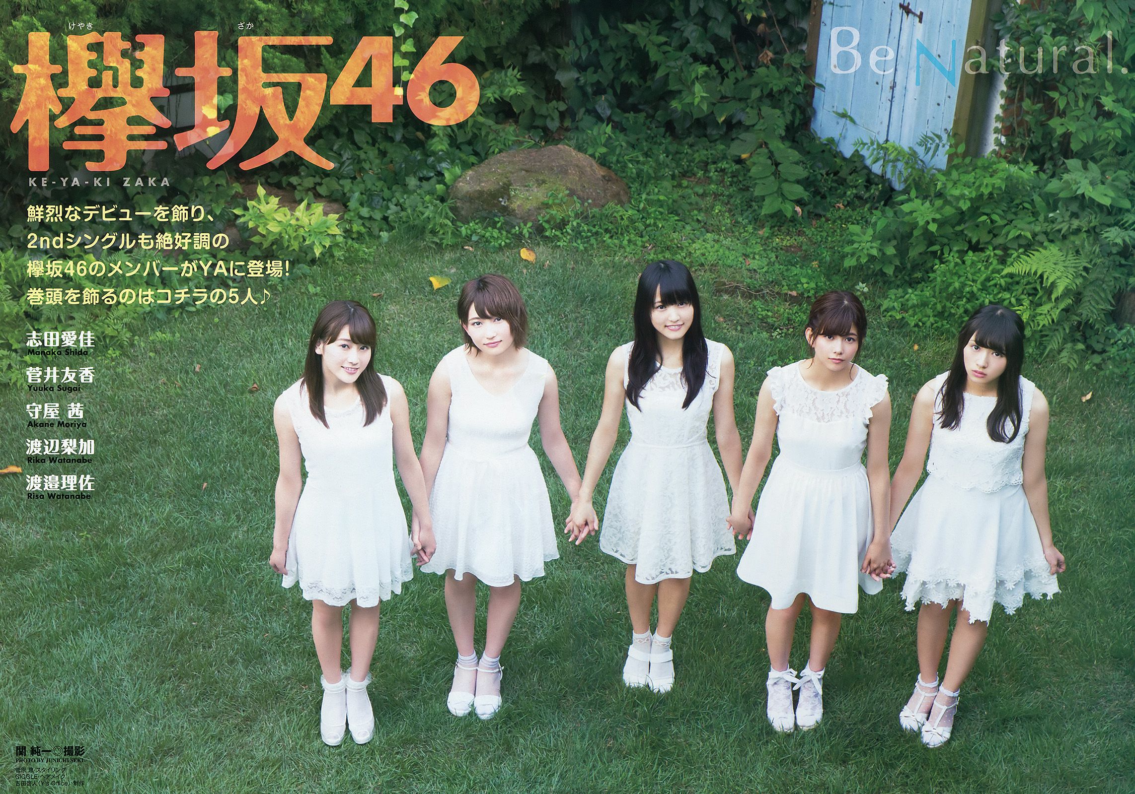 欅坂46 渡辺梨加 渡邉理佐 菅井友香 守屋茜 志田爱佳  2016年No.18 写真杂志-图3