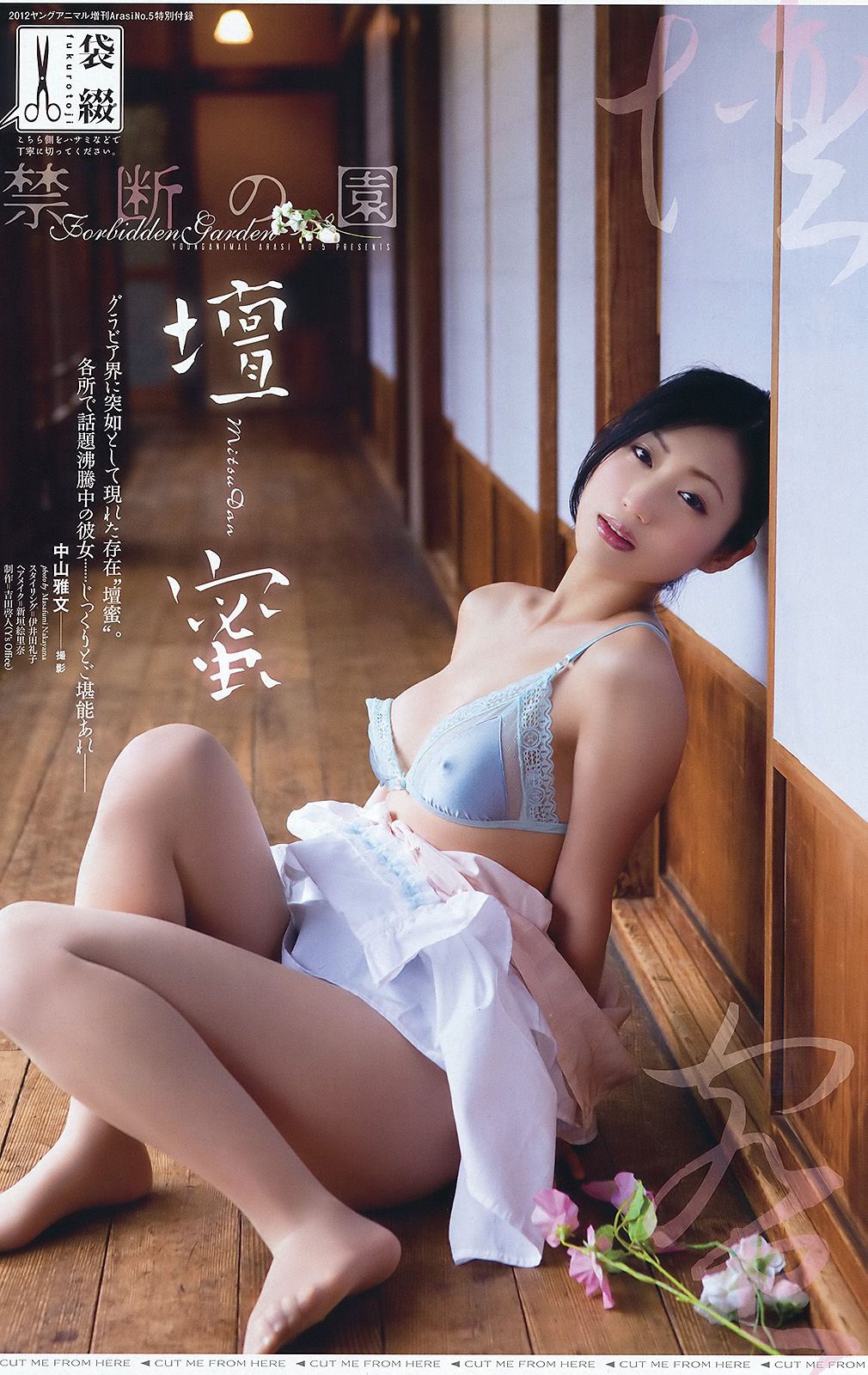 西田麻衣 今野杏南 坛蜜  NO.05 2012年 写真杂志-图16