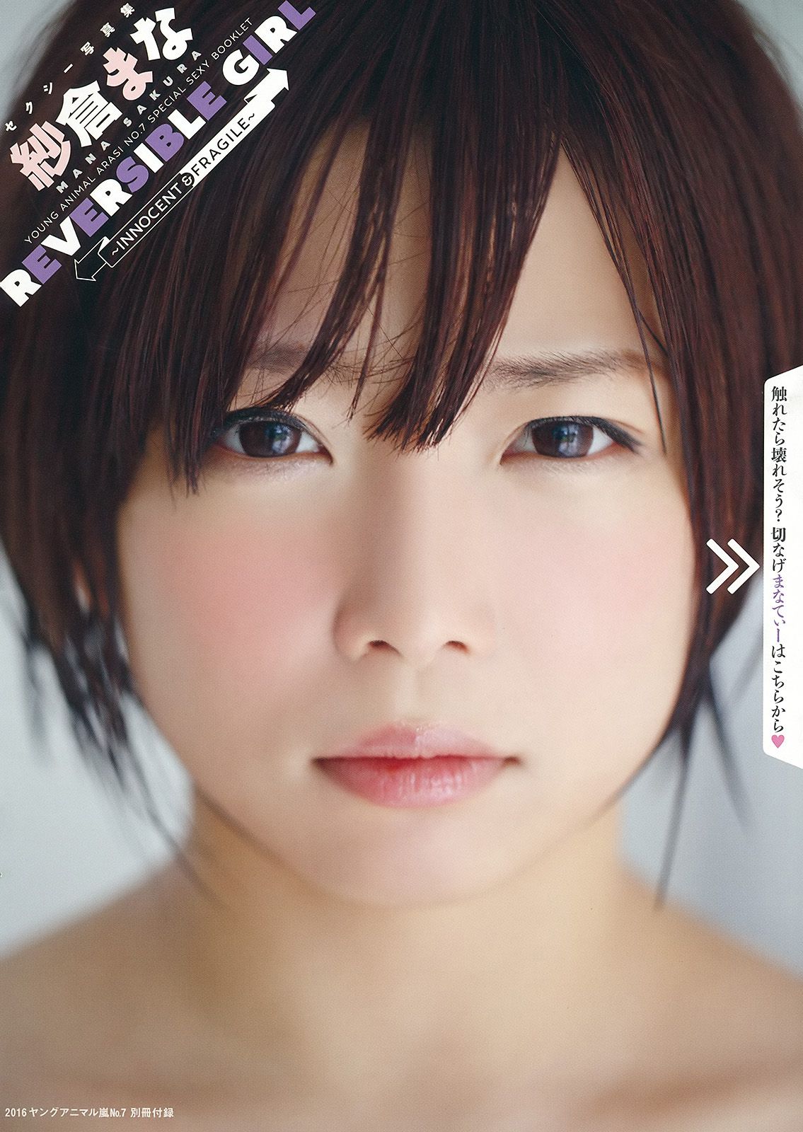 金子理江 杉原杏璃 紗倉まな  No.07 2016年 写真杂志-图19