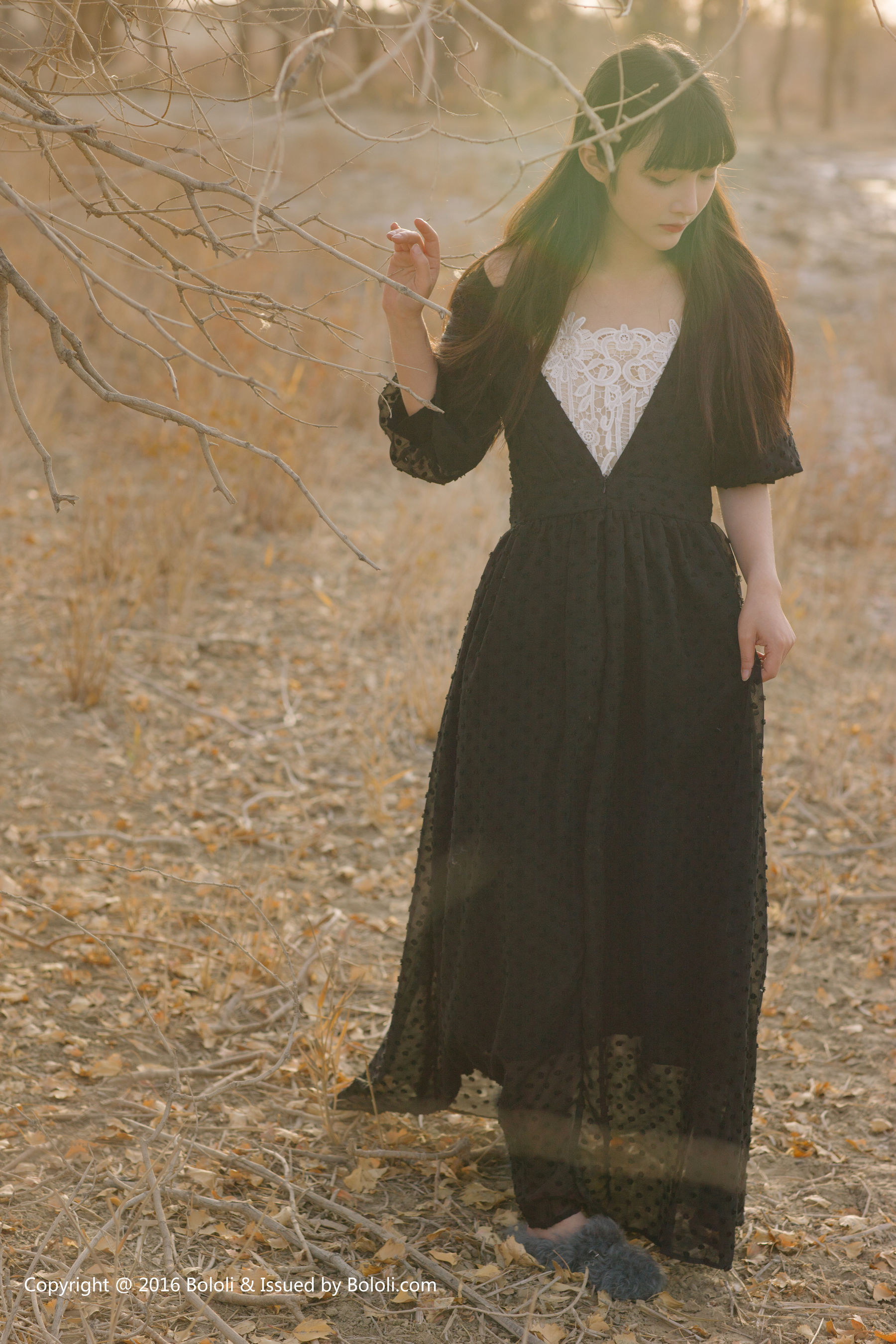 之应《沙漠仙女之应―沙漠之旅》  KIM011-图37