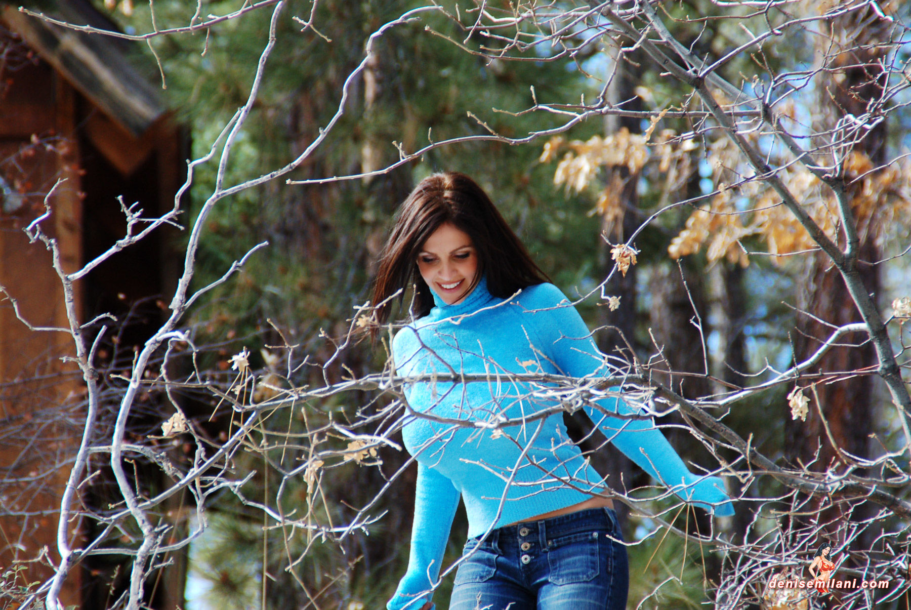 丹尼斯?米兰妮/Denise Milani 牛仔紧身裤系列-图1