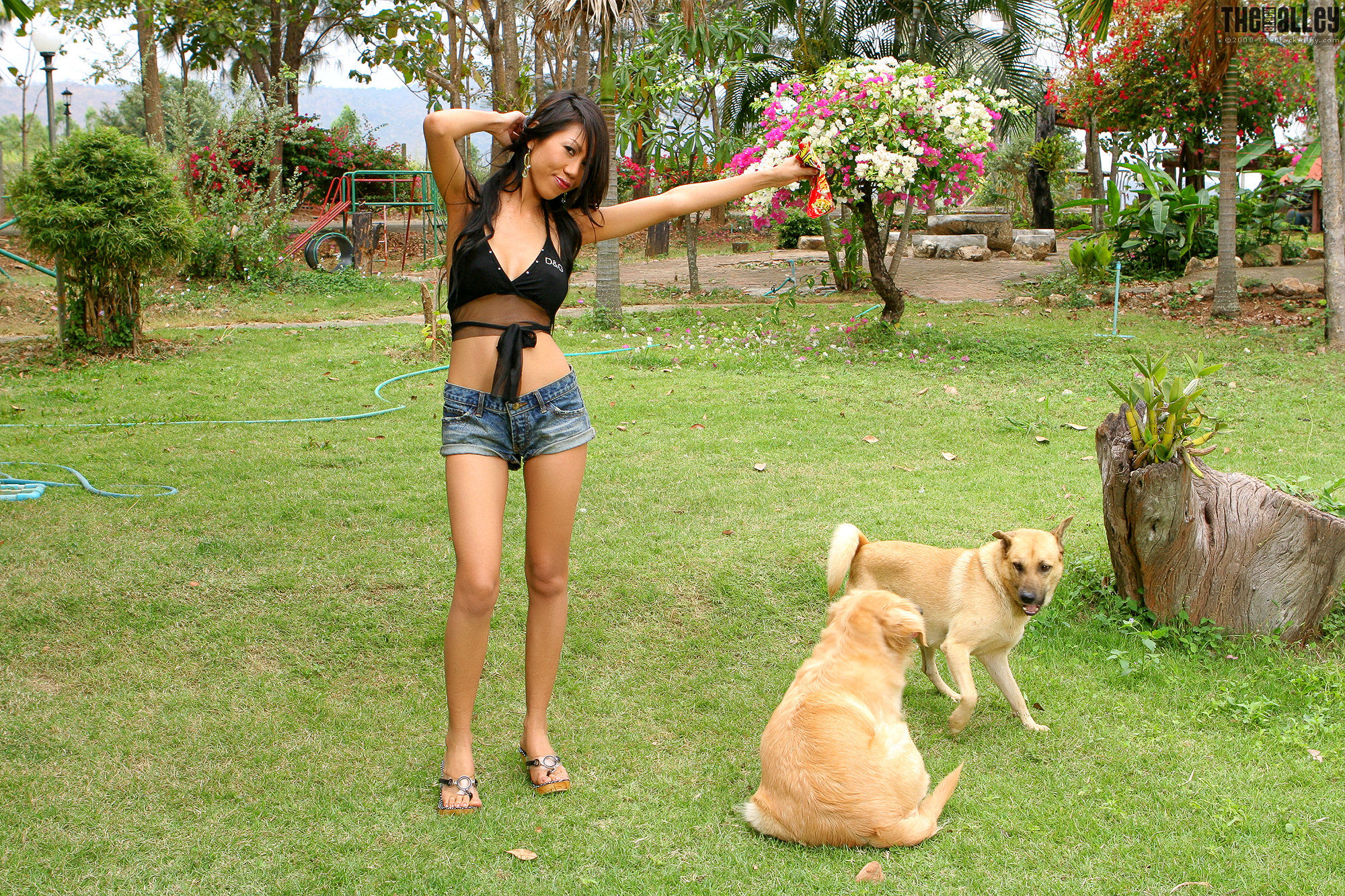 Rita Chan 小狗与美女嬉戏-图6