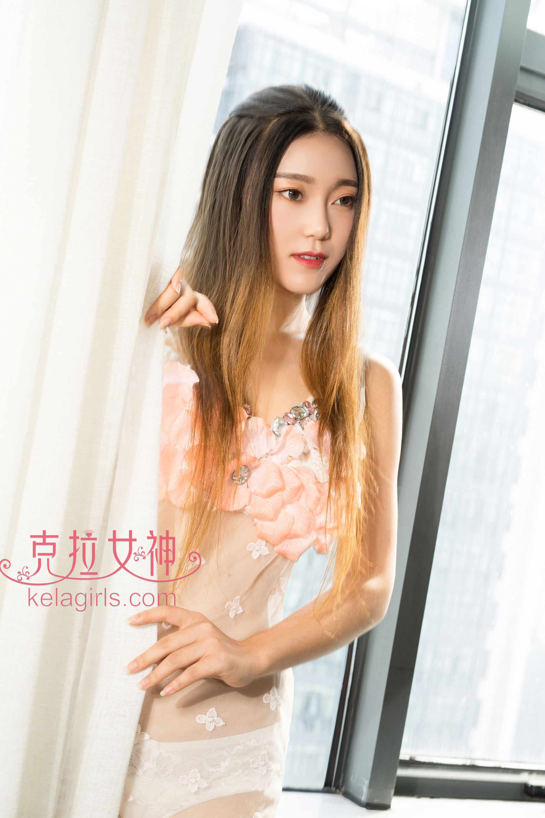 森丽《羞答答的玫瑰》-图1
