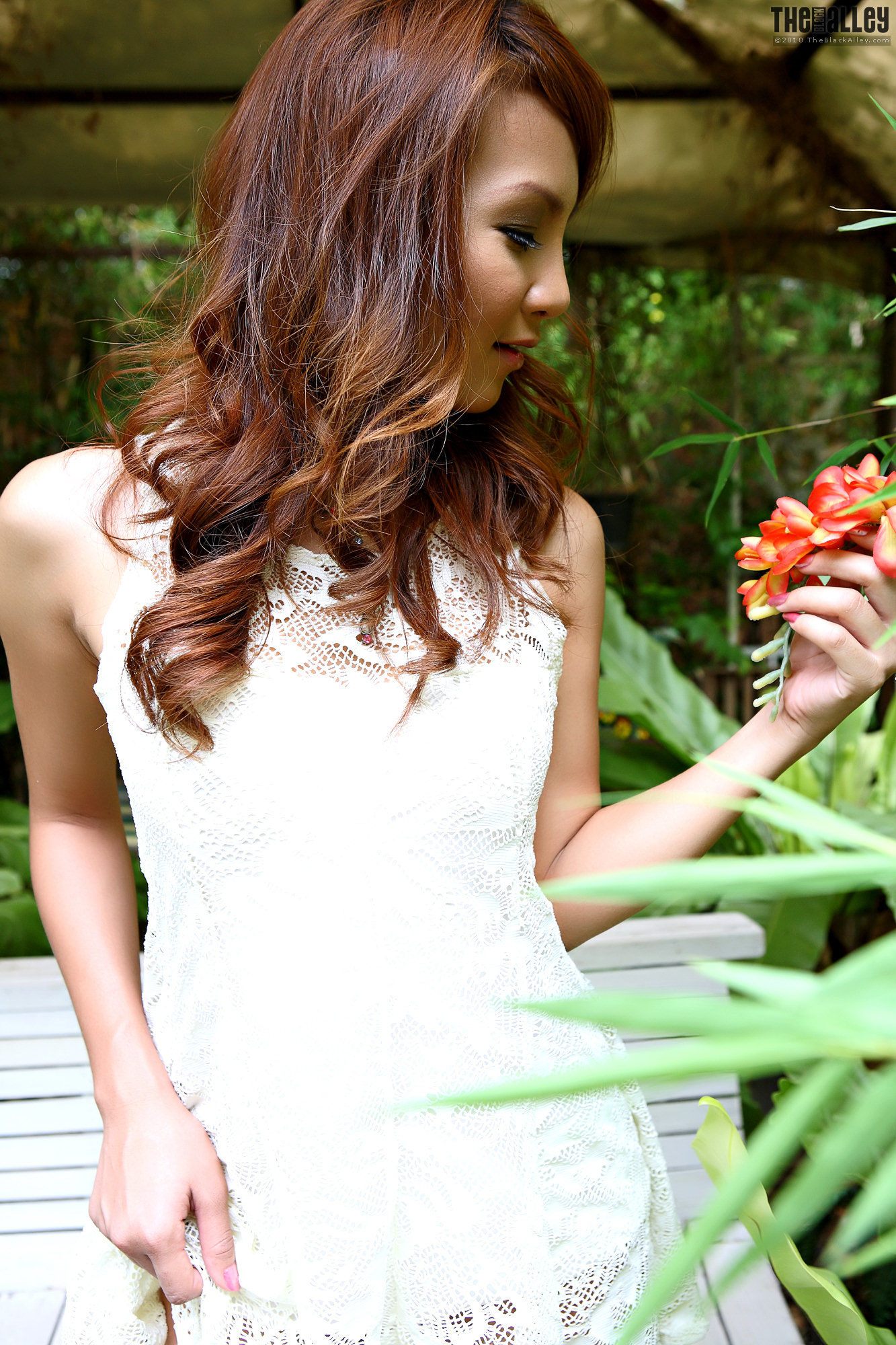 Annita Lee《蕾丝连衣裙》-图20