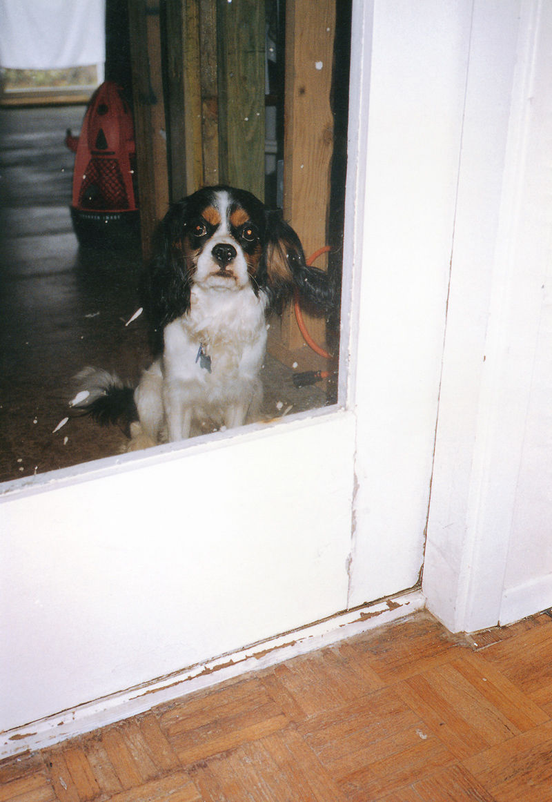 若槻千夏《Chinatty》-图47