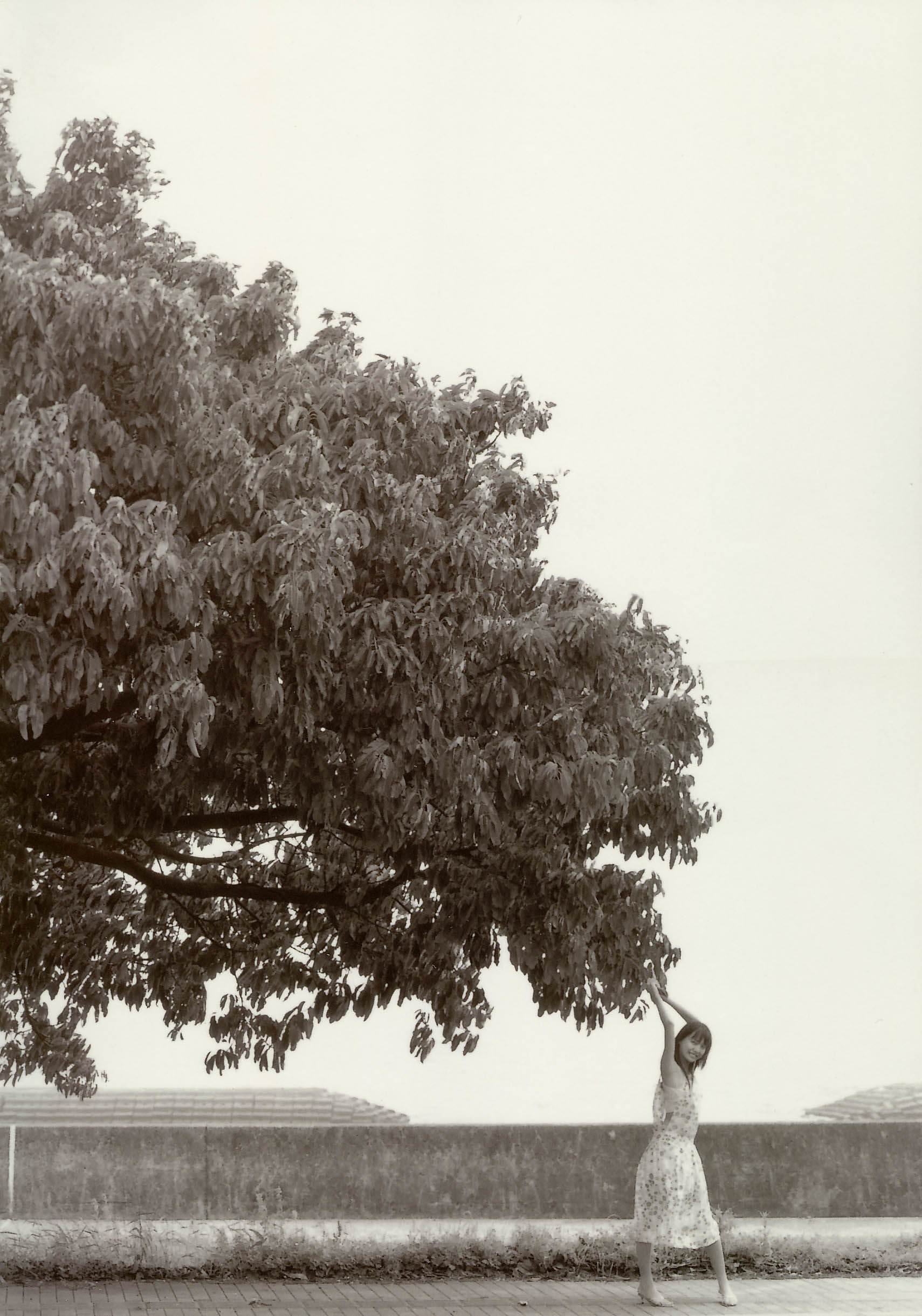 戸田恵梨香《SANWA MOOK 7 生まれた泉》-图10