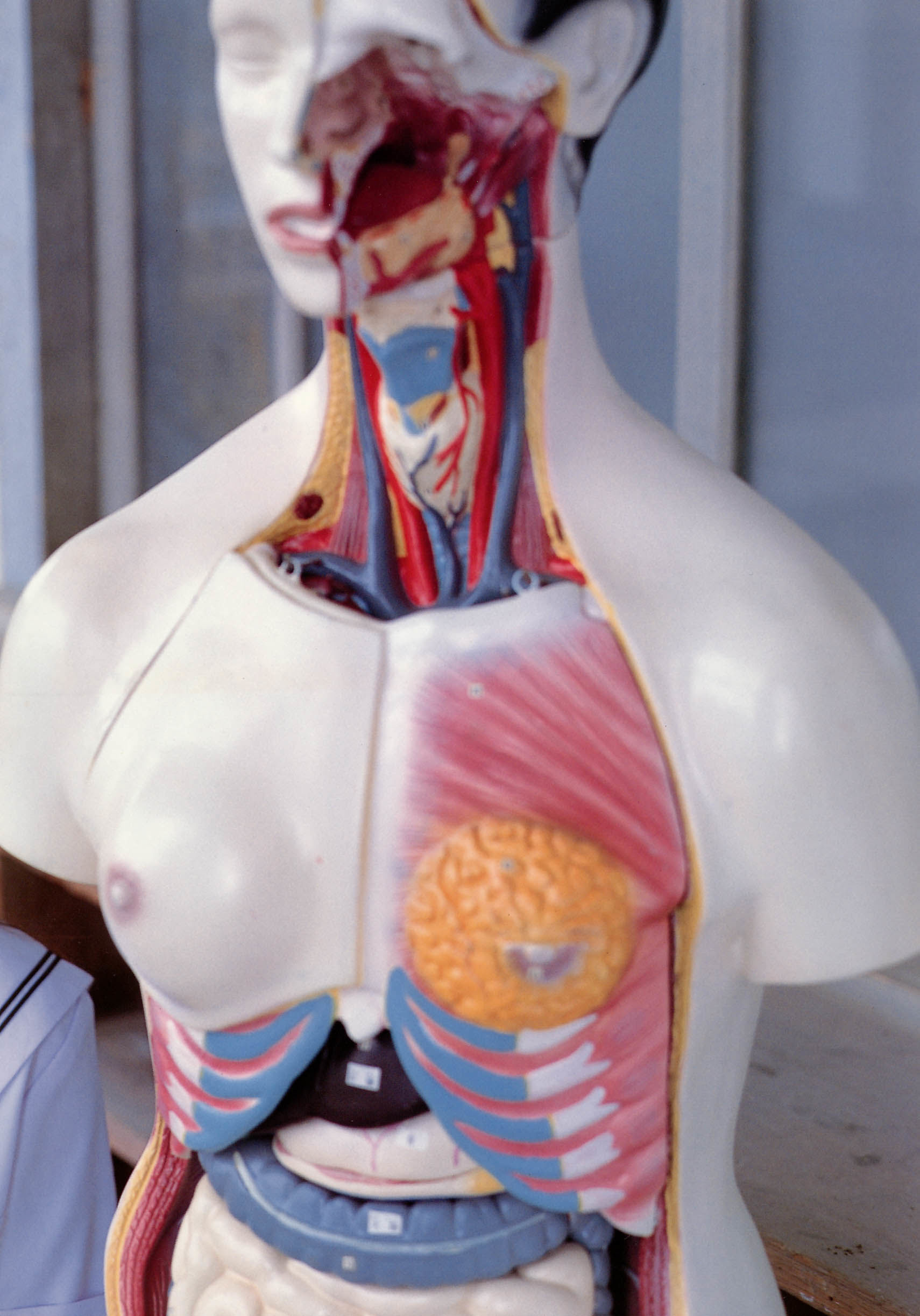 戸田恵梨香《SANWA MOOK 7 生まれた泉》-图64