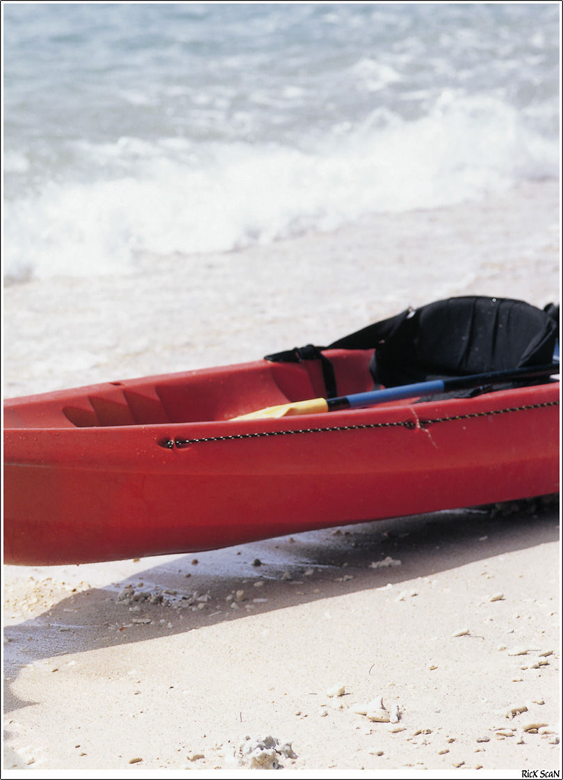 戸田恵梨香《Nature》-图71