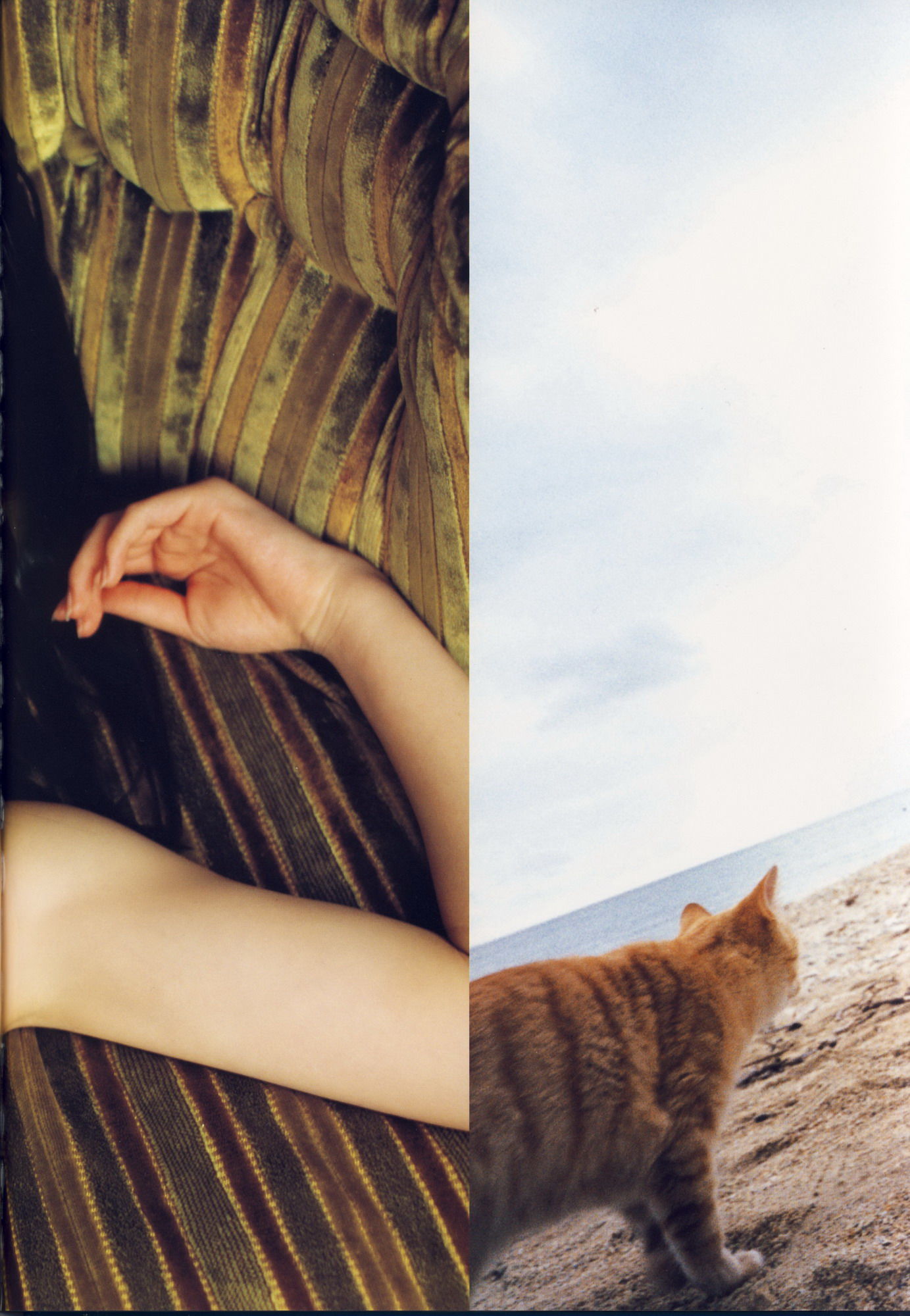 矢島舞美《舞美》-图28