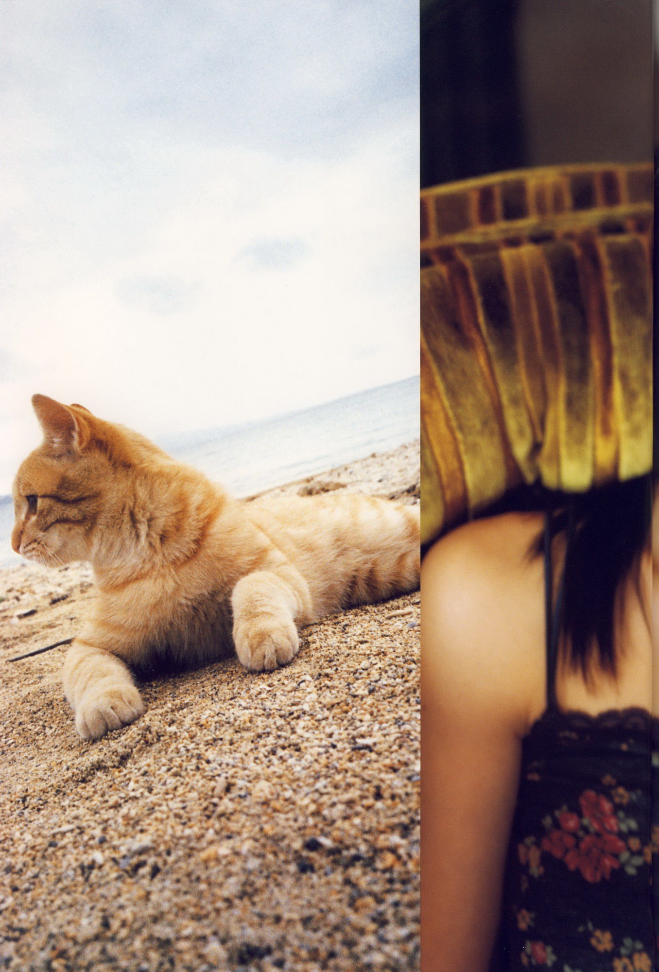 矢島舞美《舞美》-图29