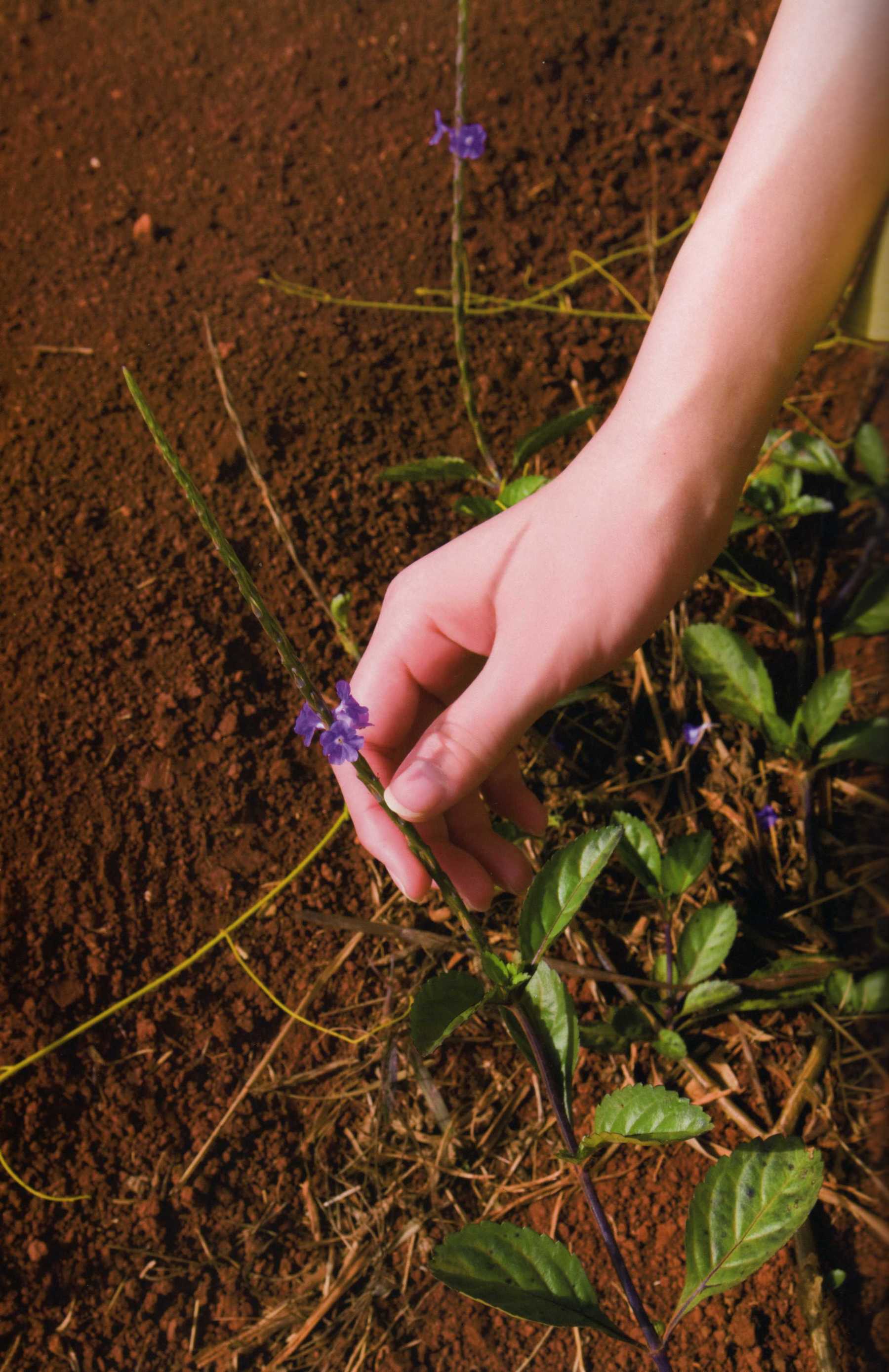 Maimi Yajima 矢島舞美-图27