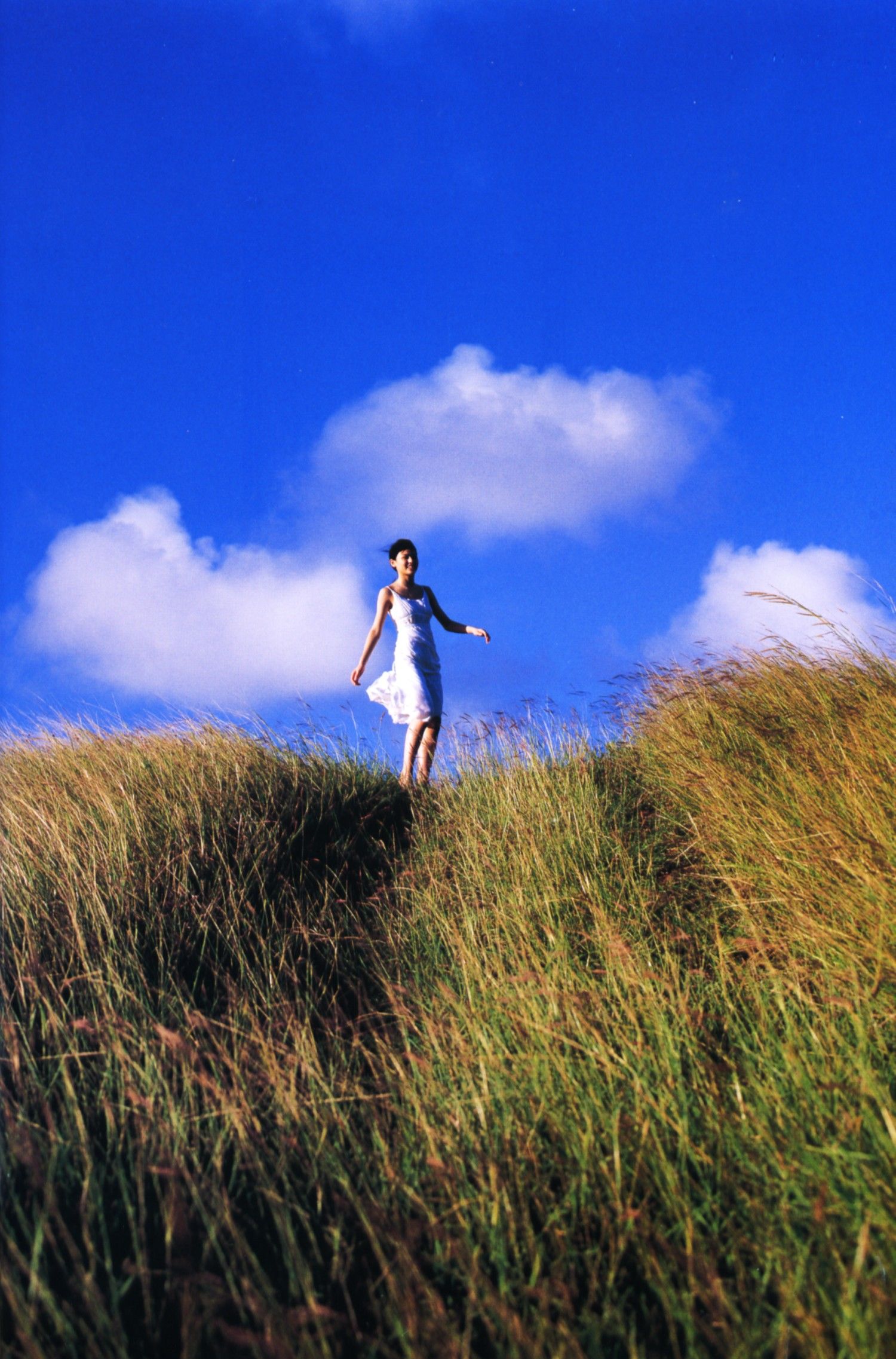 矢島舞美《Sousola》-图33