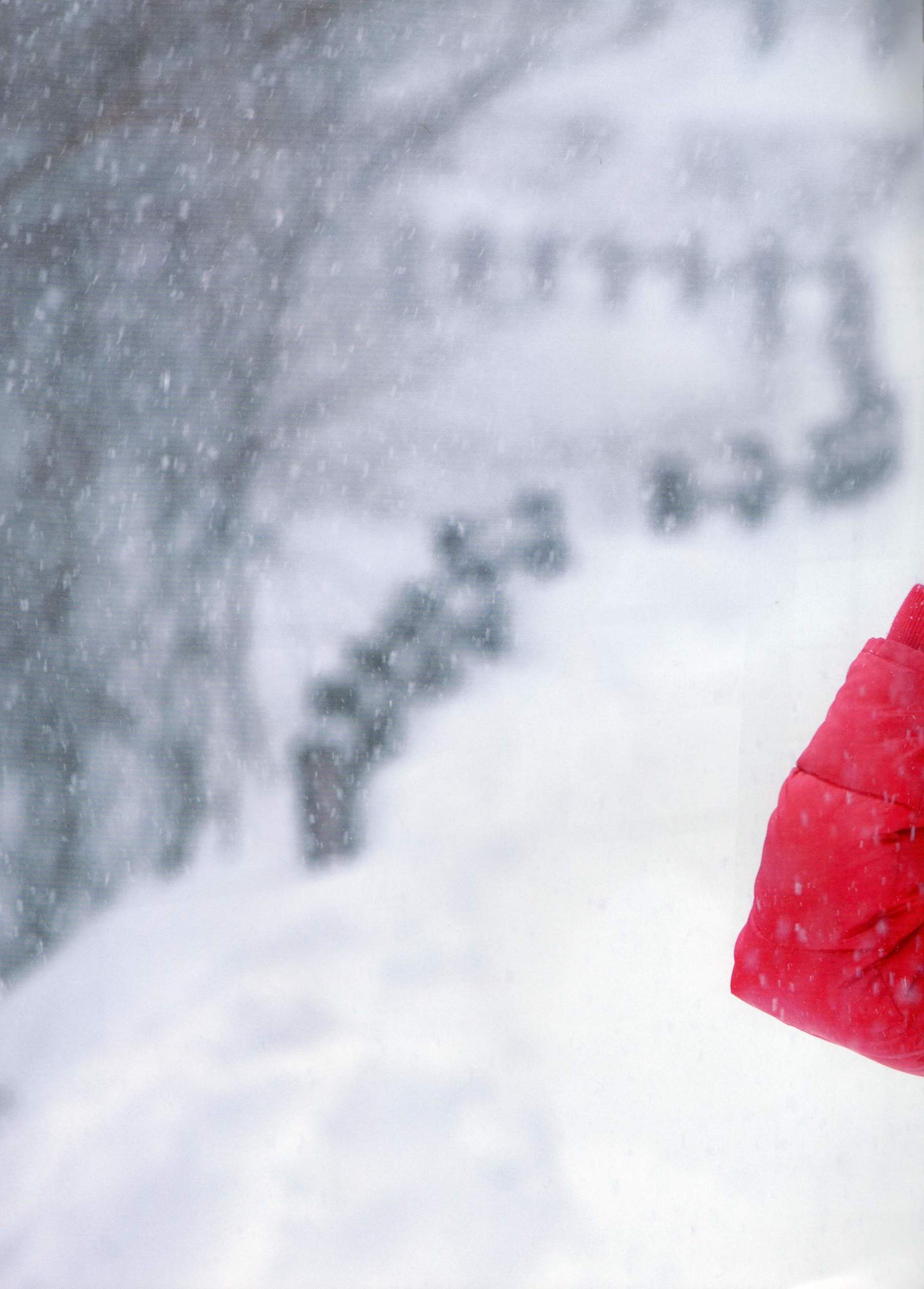 吉木りさ《Sekirara》-图37