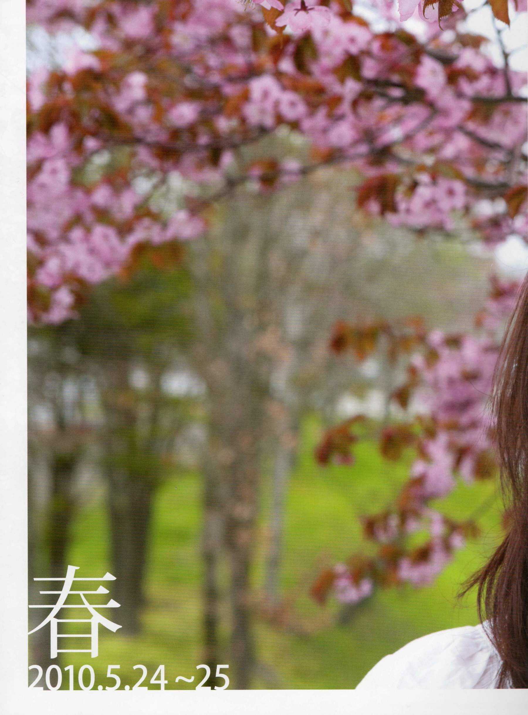 吉木りさ《Sekirara》-图53