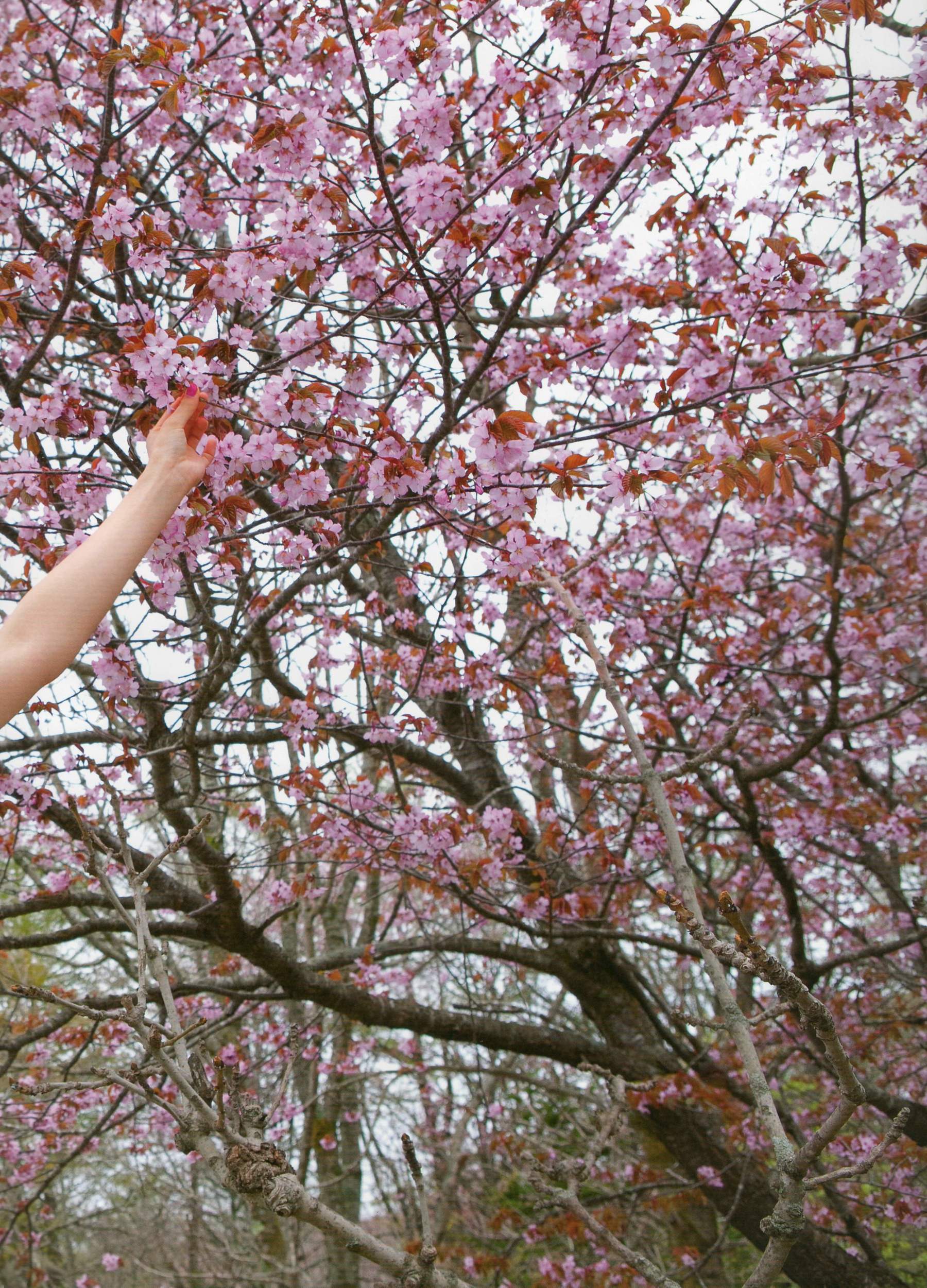 吉木りさ《Sekirara》-图56