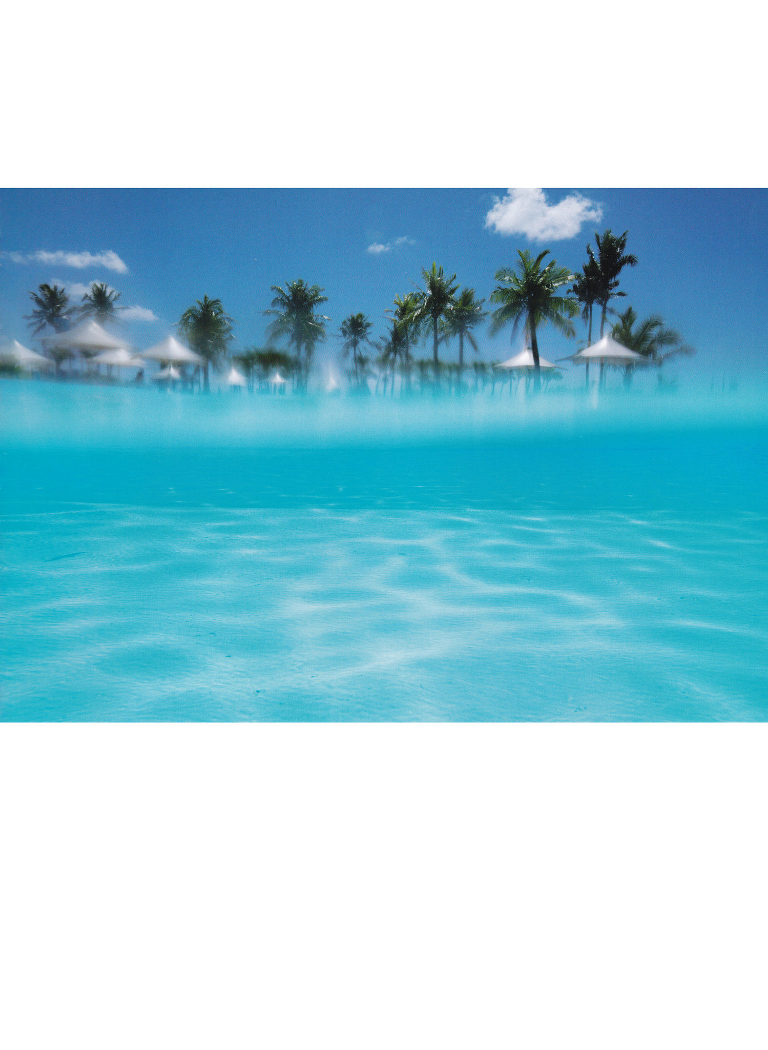 乃木坂46《极品正统清纯少女组合》-图57