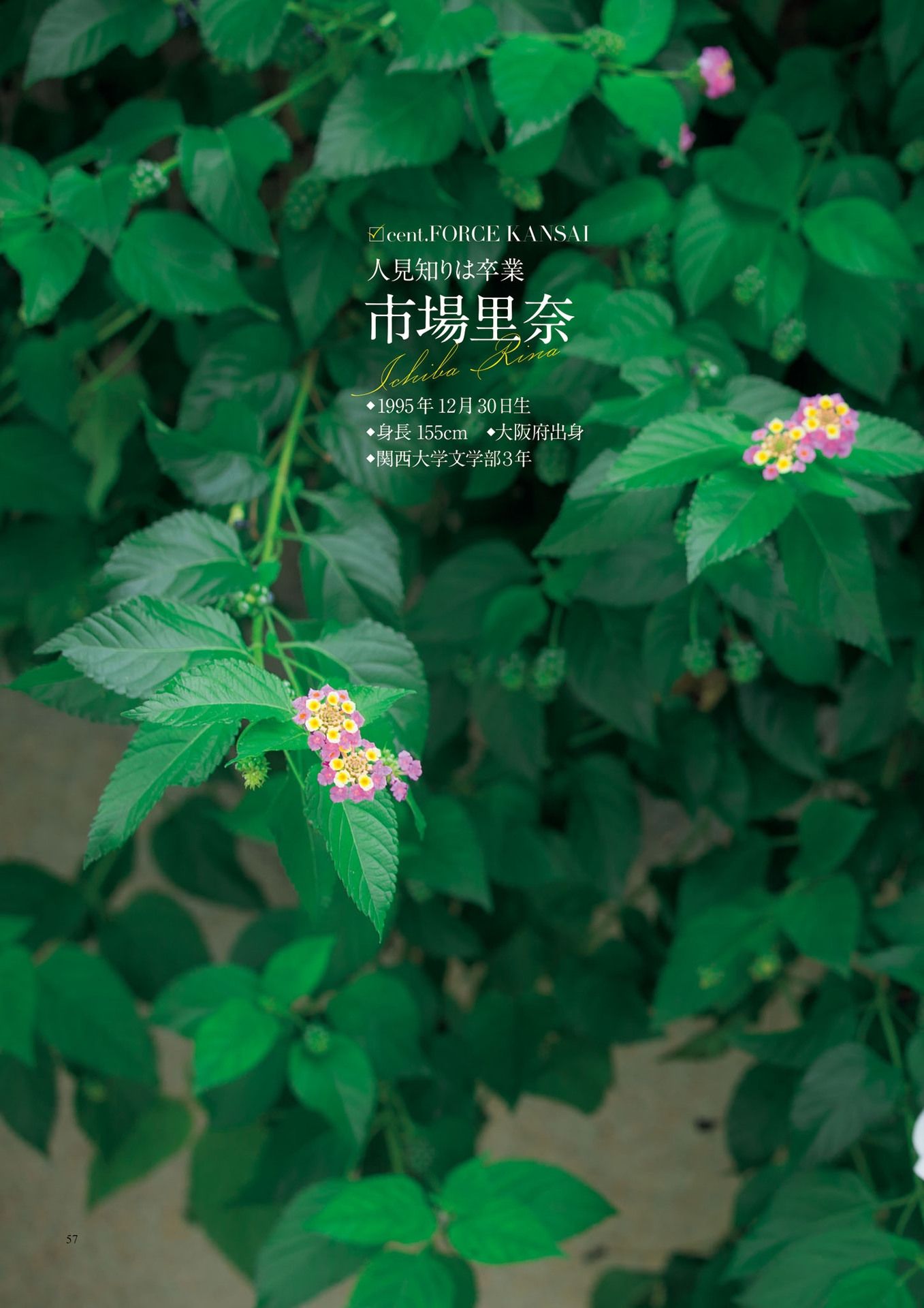 原色美人キャスター大図鑑2017《Cent Force Dprout & Kansai Fresh File》-图50